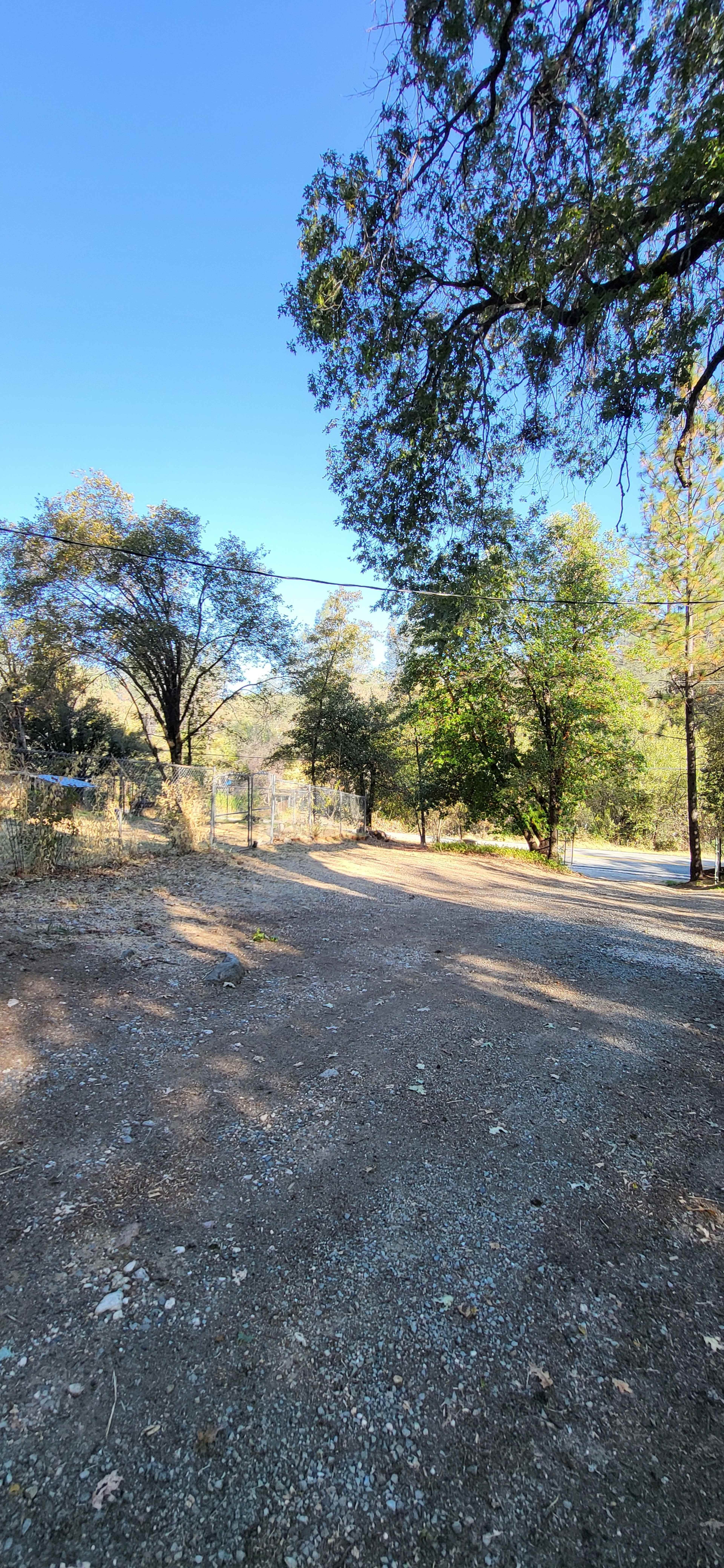 The image depicts a gravel road curving through a wooded area, with trees lining both sides under a clear blue sky.