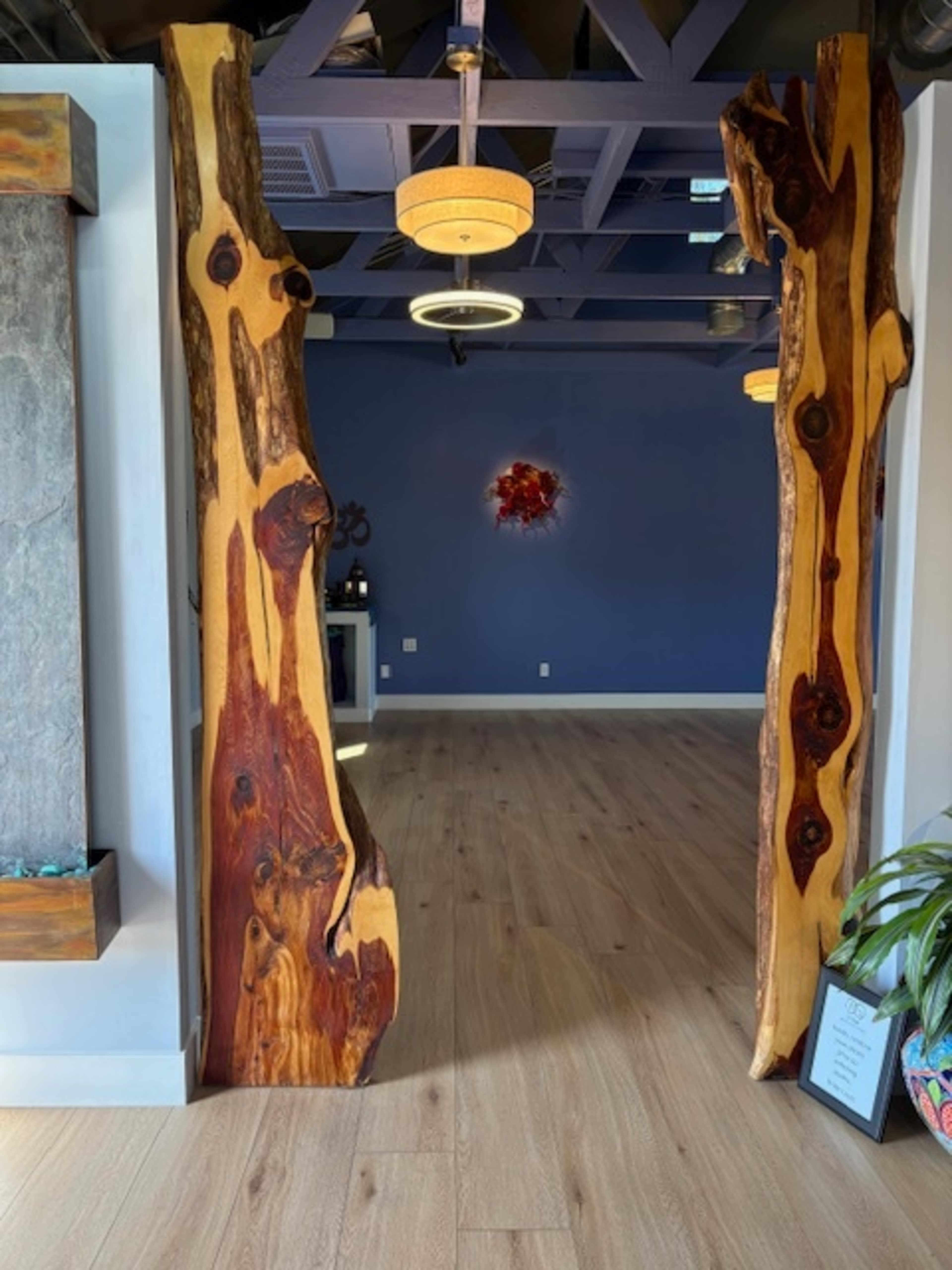 Centrally Located Studio with Beautiful Lighting and Earthy Vibes Image in Alhambra, Phoenix, AZ