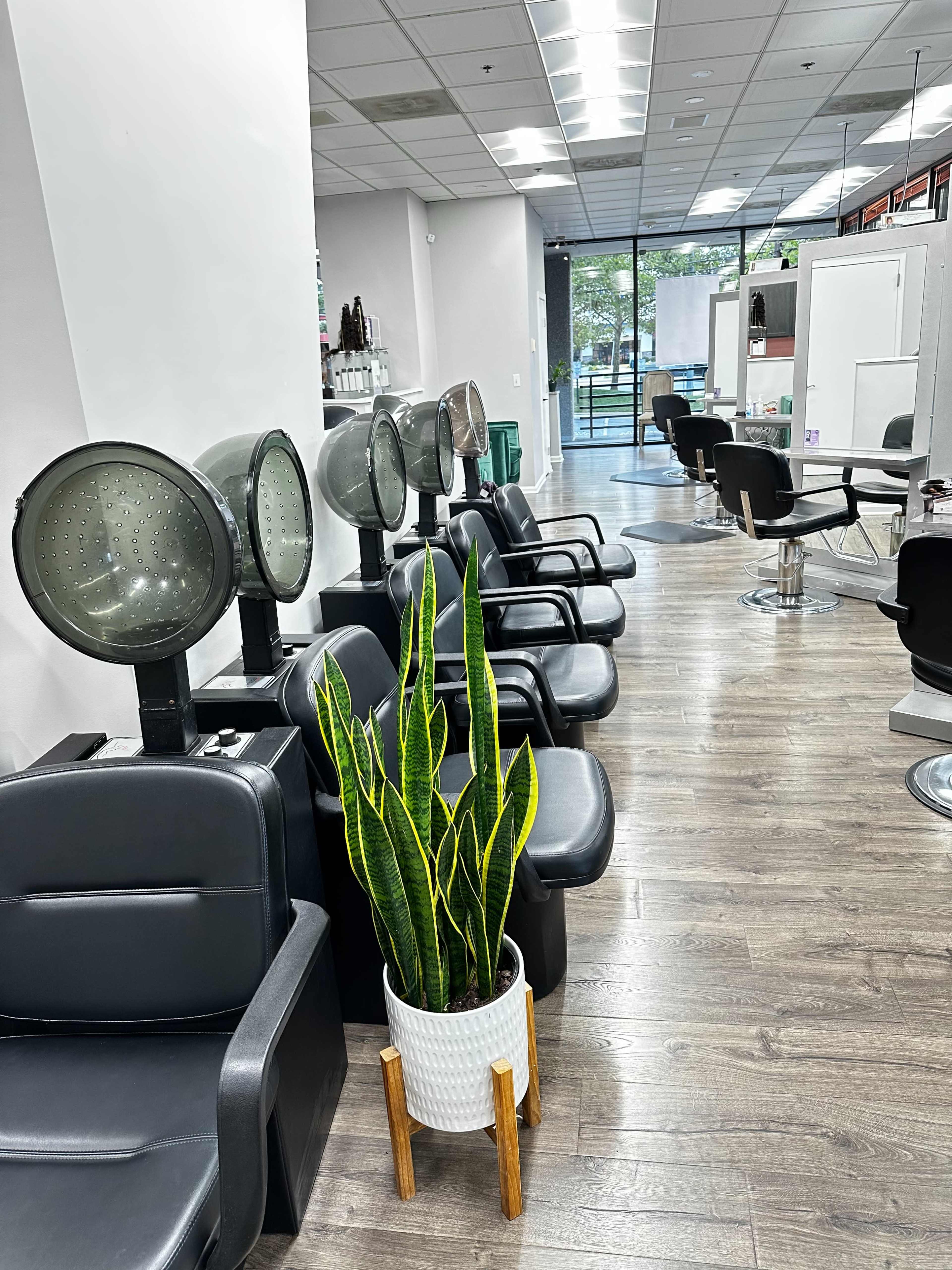 A row of salon chairs with hooded dryers and a potted plant in a hair salon.
