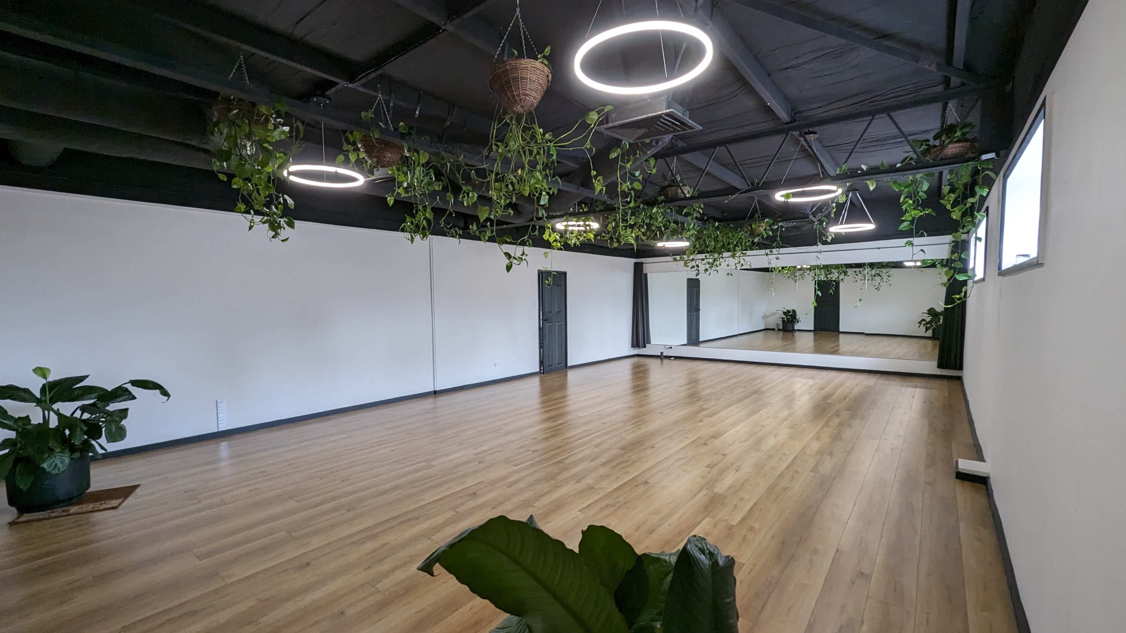 An empty dance studio with wooden flooring, large mirrors, and hanging plants.