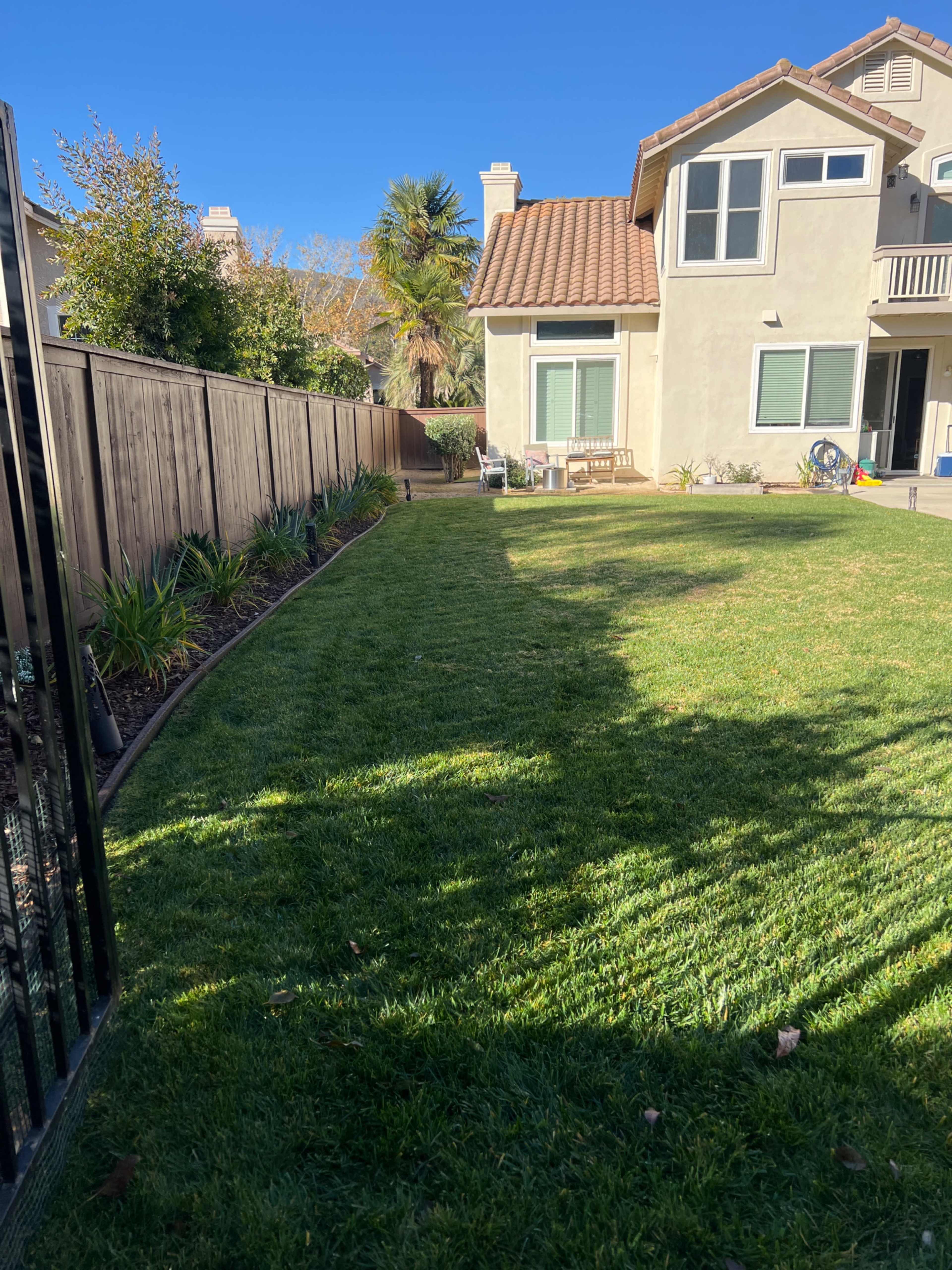 The image shows a well-maintained backyard featuring a green lawn, a fence on one side, and a house with a patio area in the background.