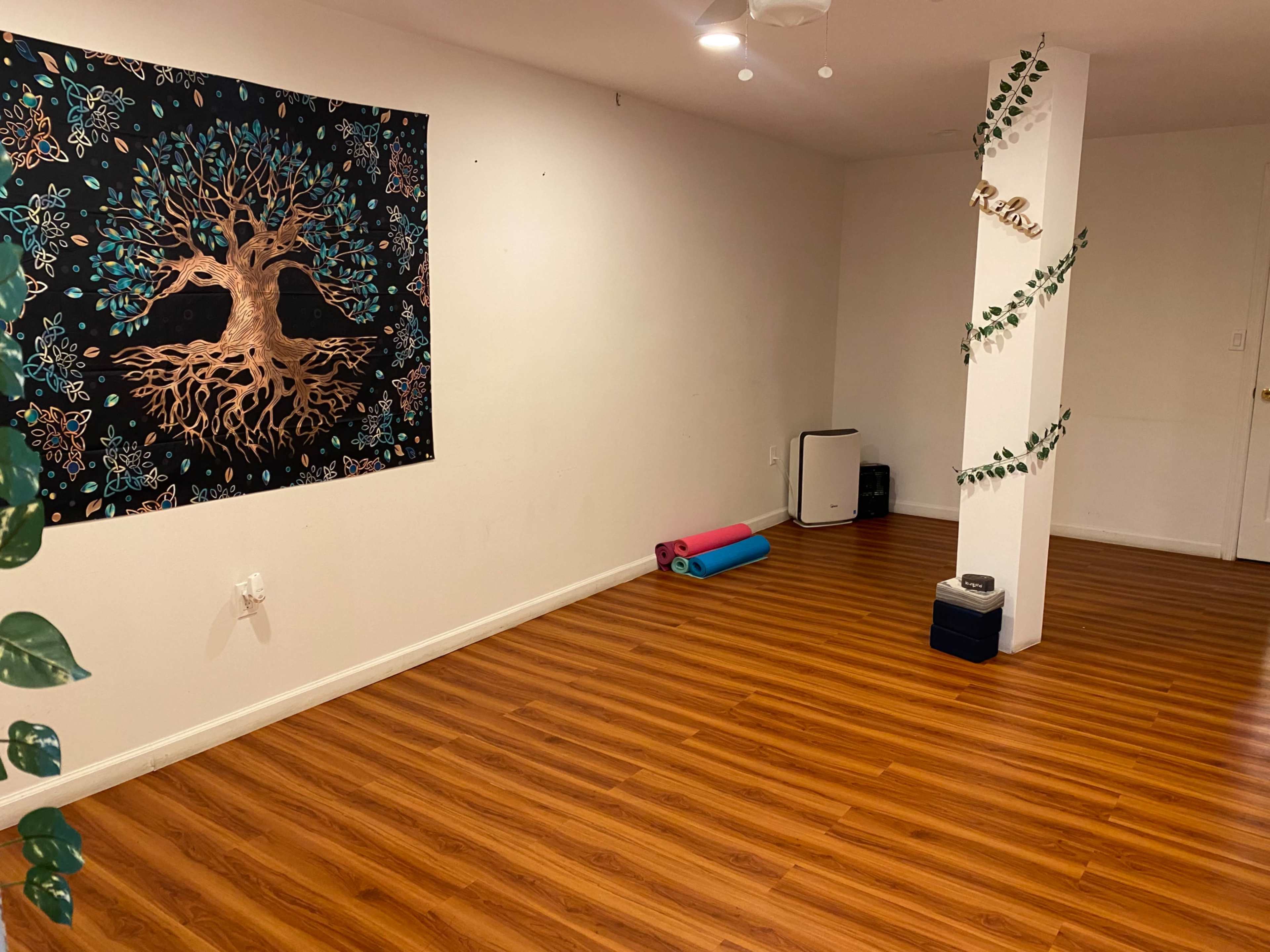 Cozy Urban Studio Image in Queens, Jamaica, NY