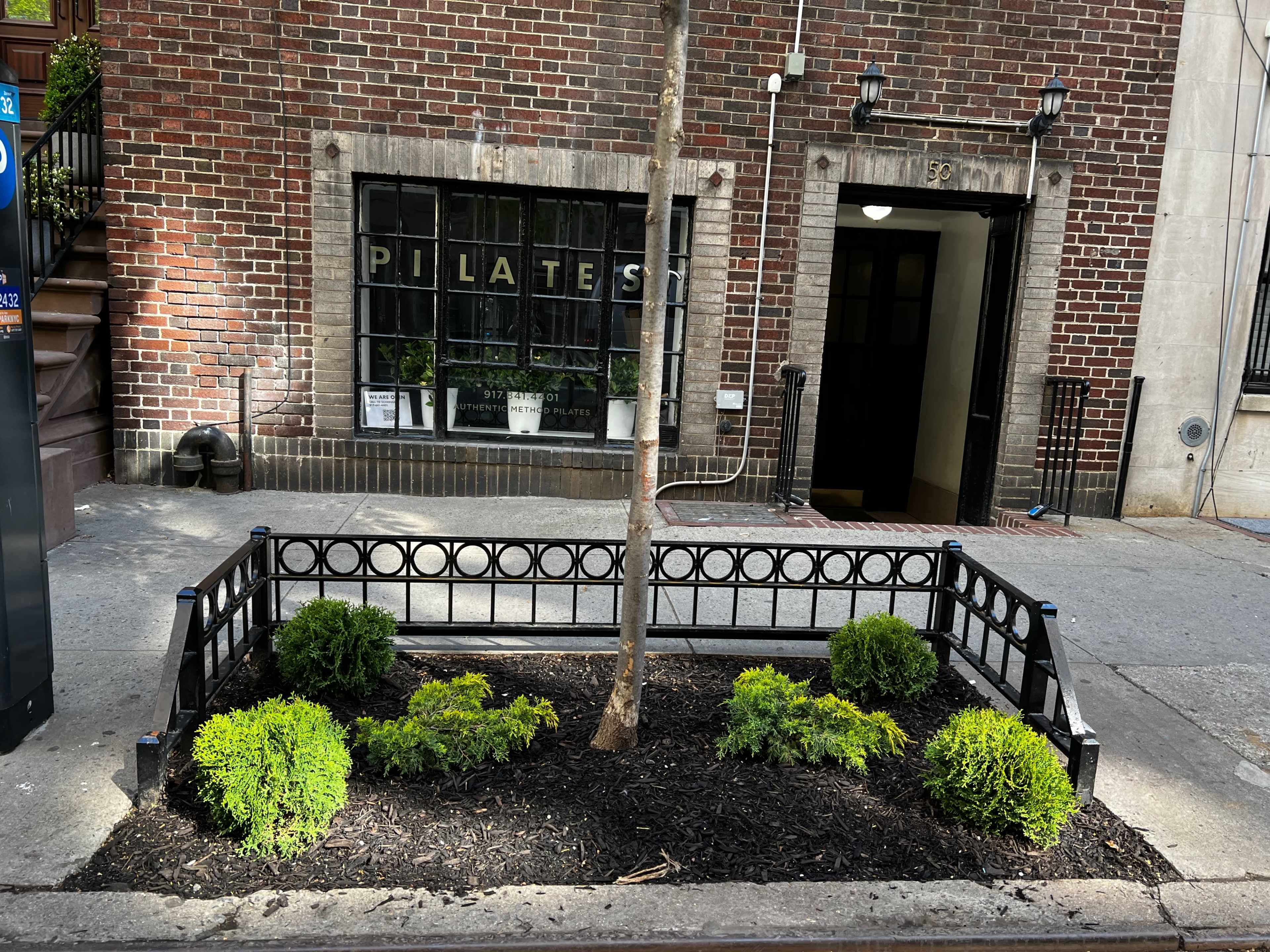 A tree surrounded by neatly arranged shrubs in a planter box outside a brick building with a sign that reads "PILATES."