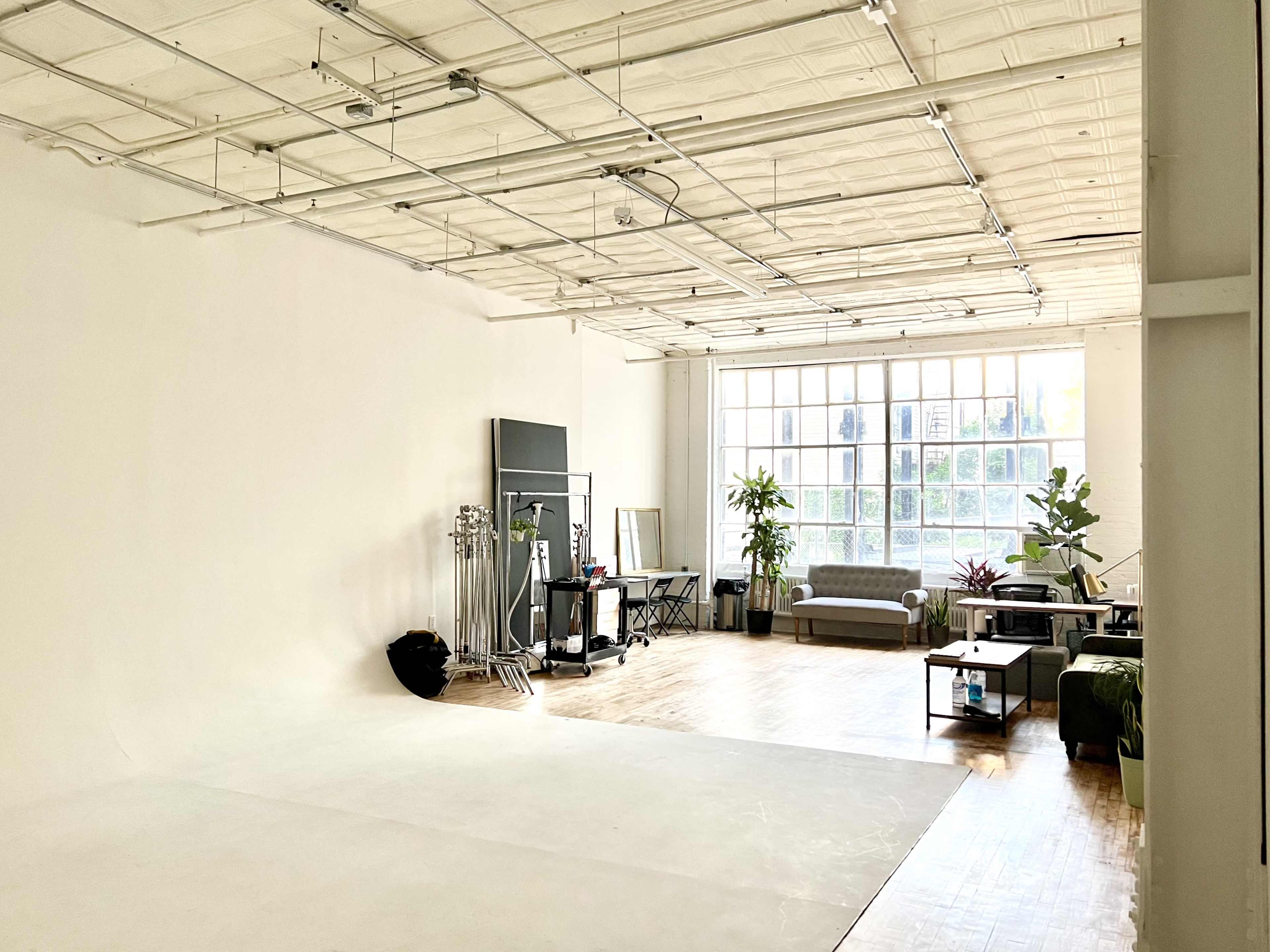 A spacious, well-lit studio with a white wall, wooden floor, and various furniture including a gray sofa, a table, and plants.