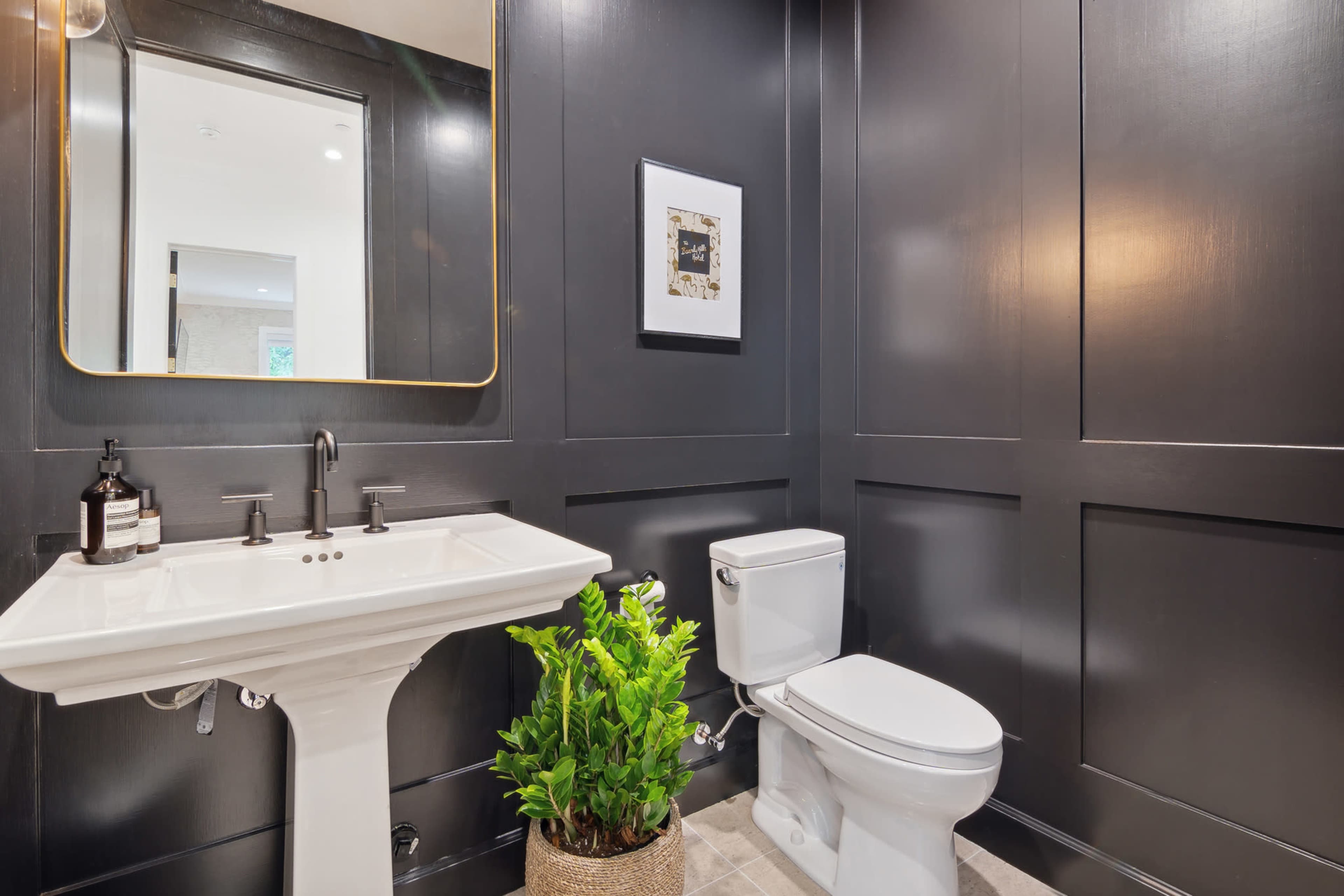 The image shows a modern bathroom featuring a pedestal sink, toilet, a framed artwork, and a potted plant against dark paneled walls.