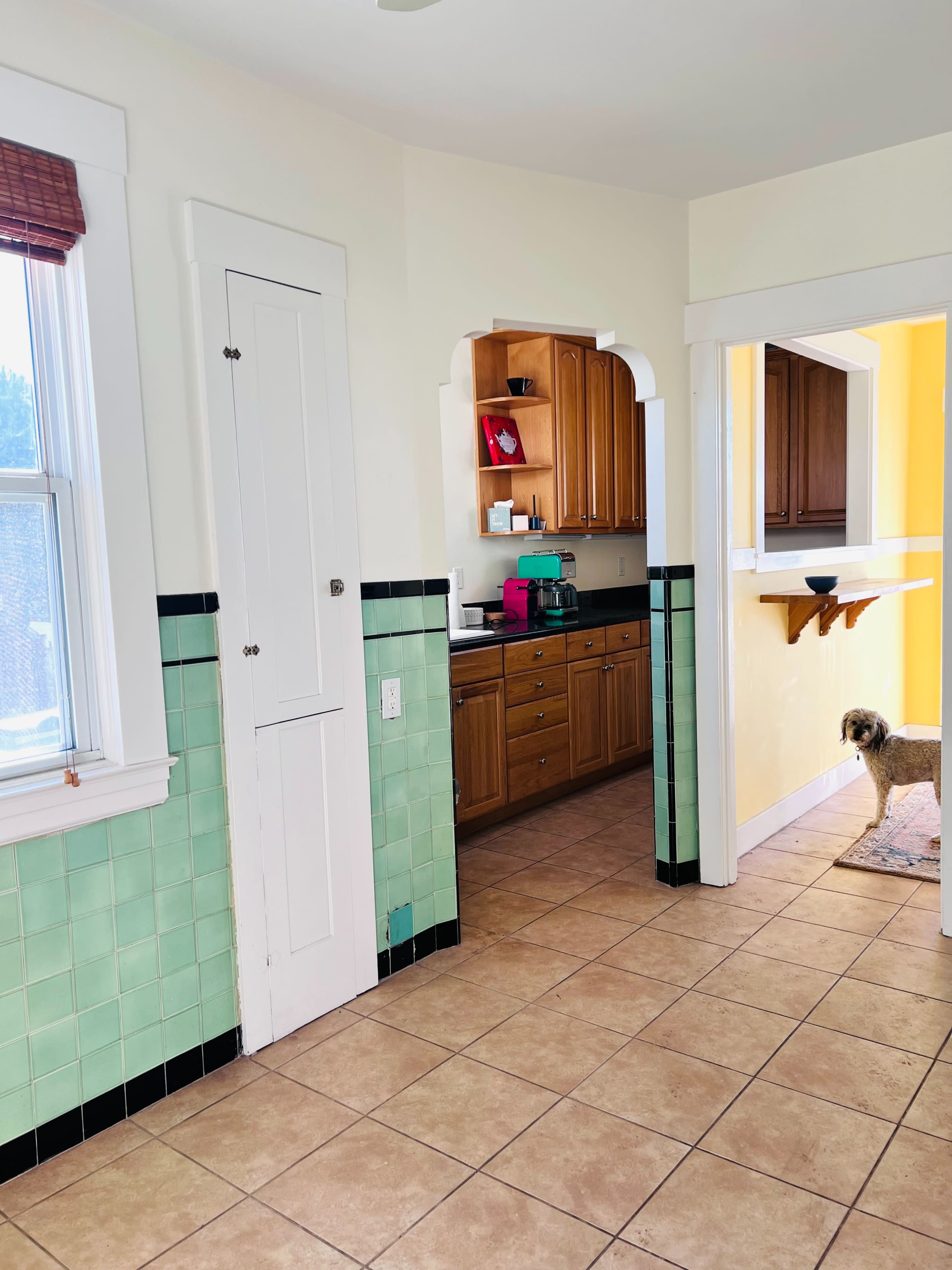 A light-colored kitchen connects to a hallway with green tiled walls and a doorway leading to another room, while a dog stands near the entrance.