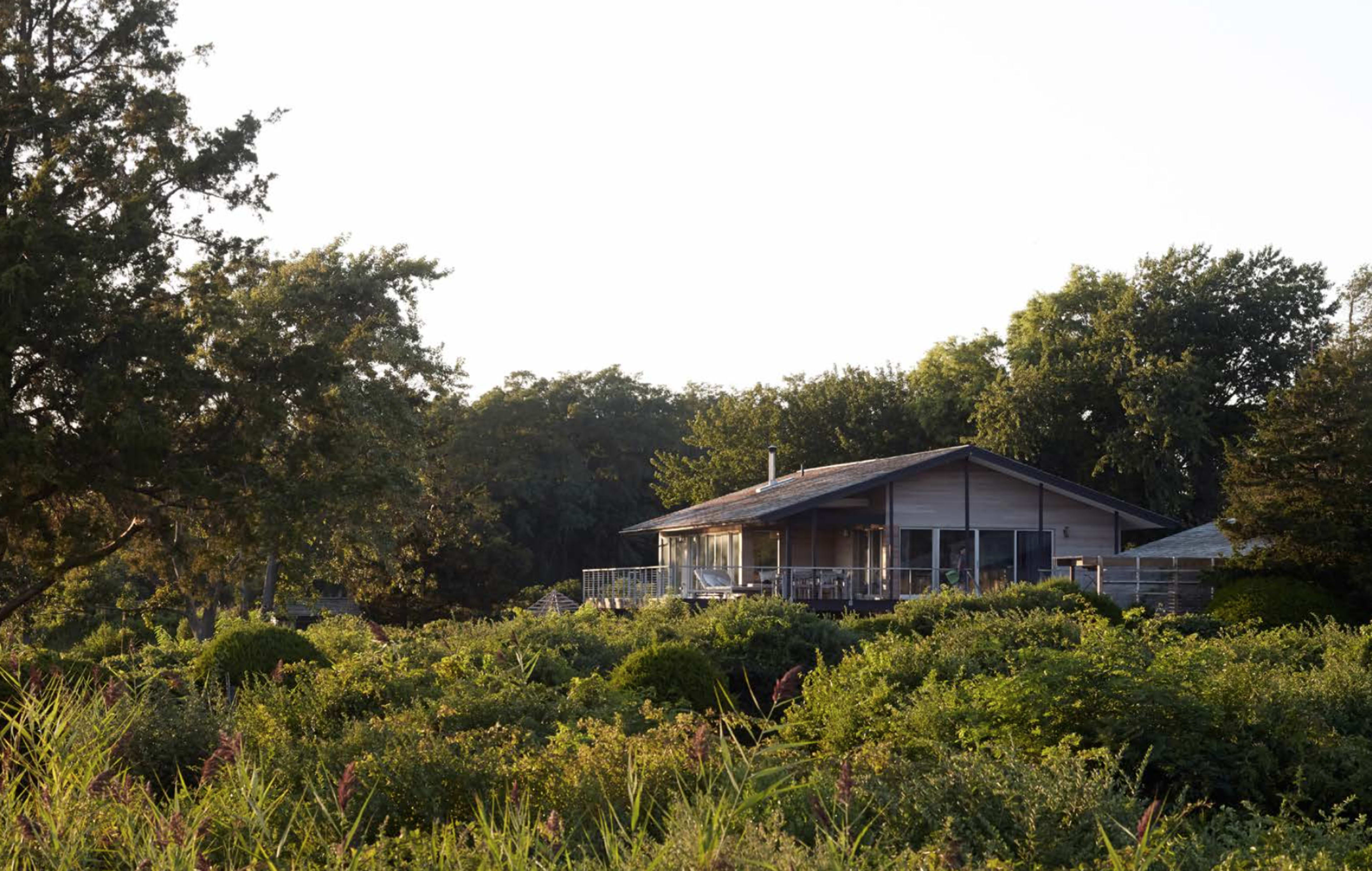 A modern house is situated among dense greenery and trees, featuring a large deck and expansive windows.
