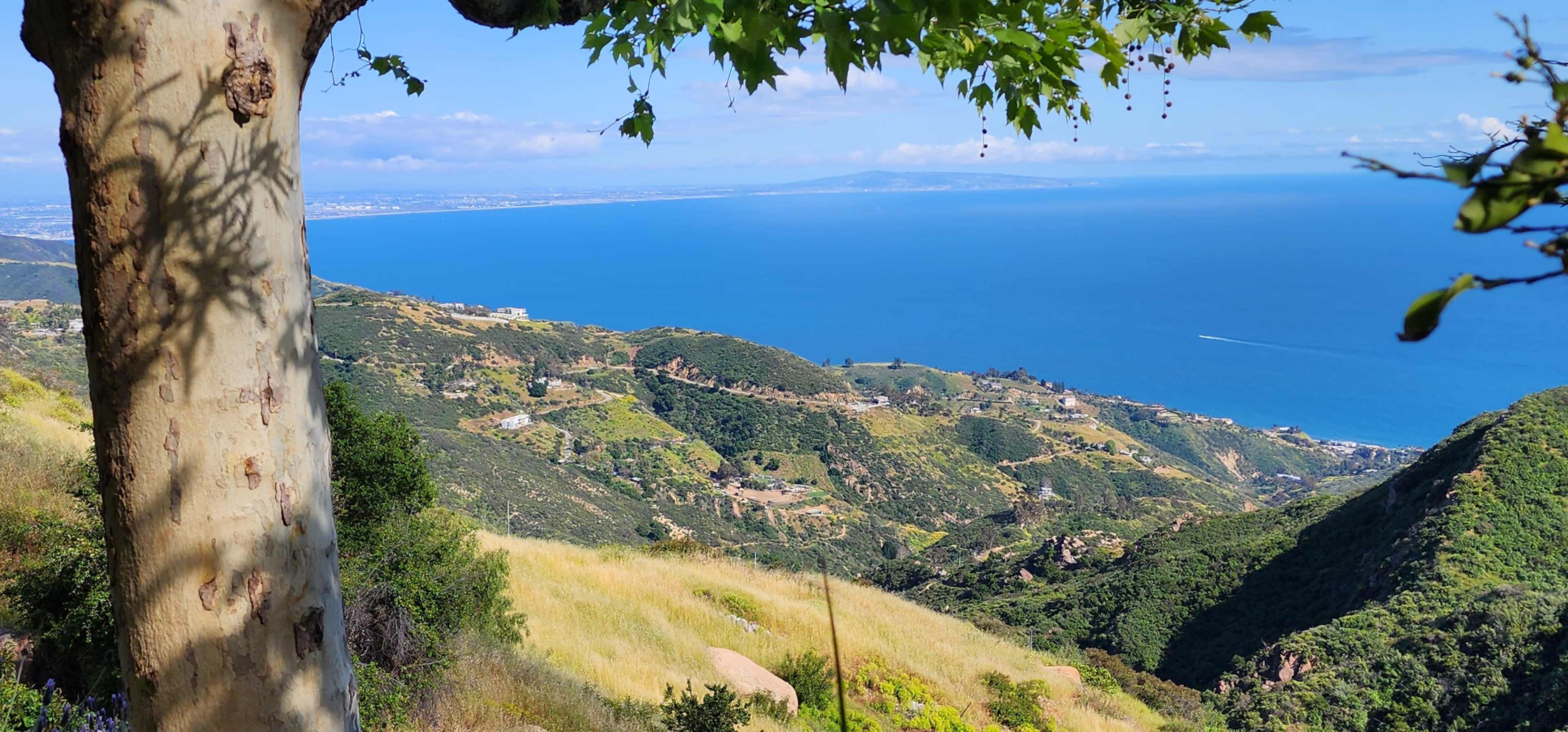 The image shows a panoramic view of rolling green hills leading down to a blue ocean, with the coastline visible in the distance under a clear sky.