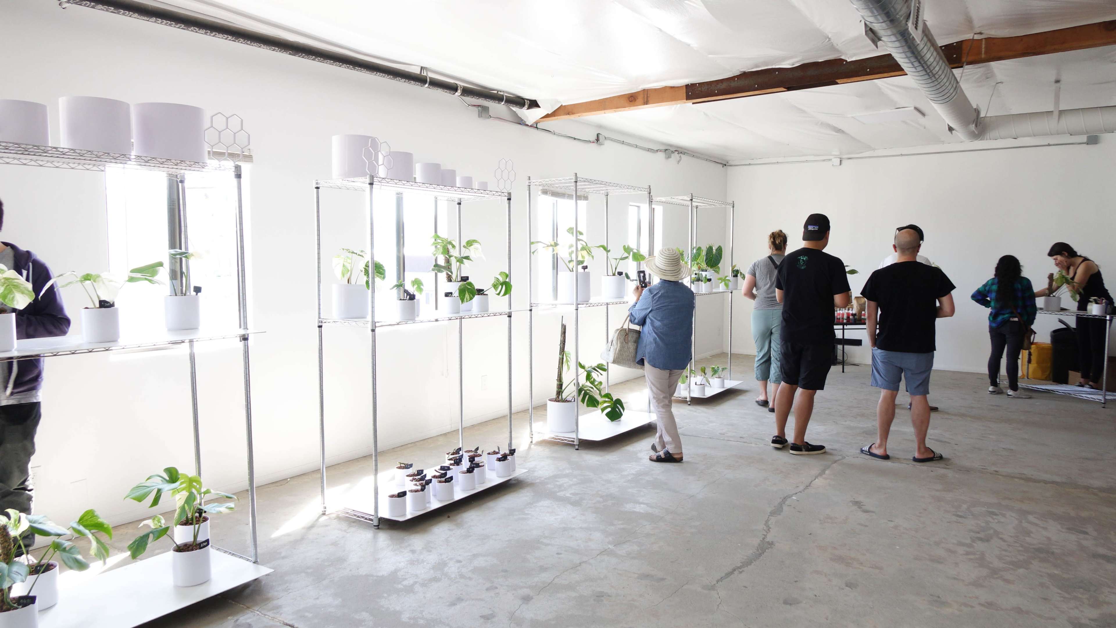 A group of people explore a spacious room filled with metal shelves displaying various potted plants.