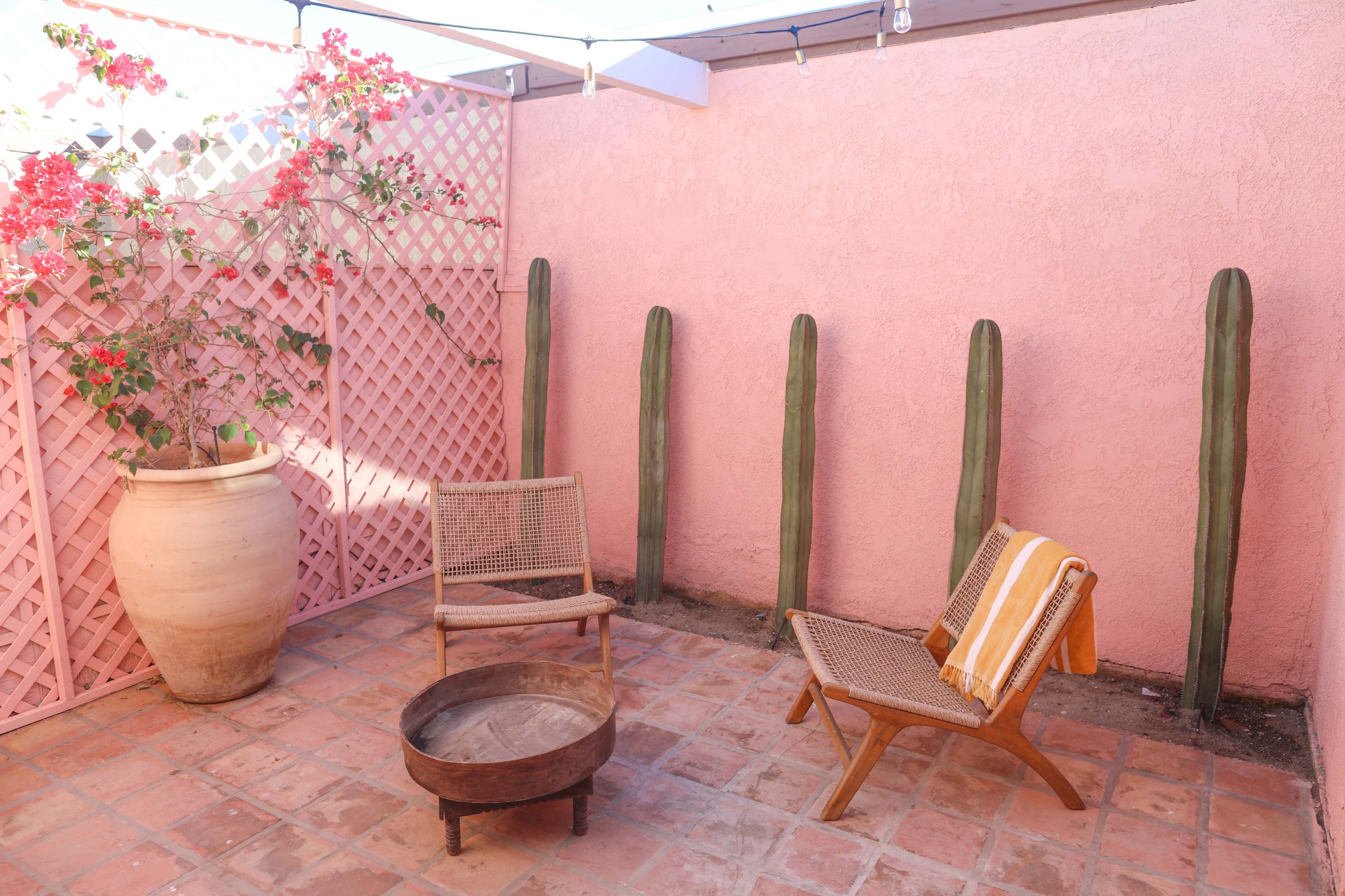 A small outdoor seating area features two wooden chairs, a round fire pit, and several tall cacti against a pink wall adorned with flowering vines.