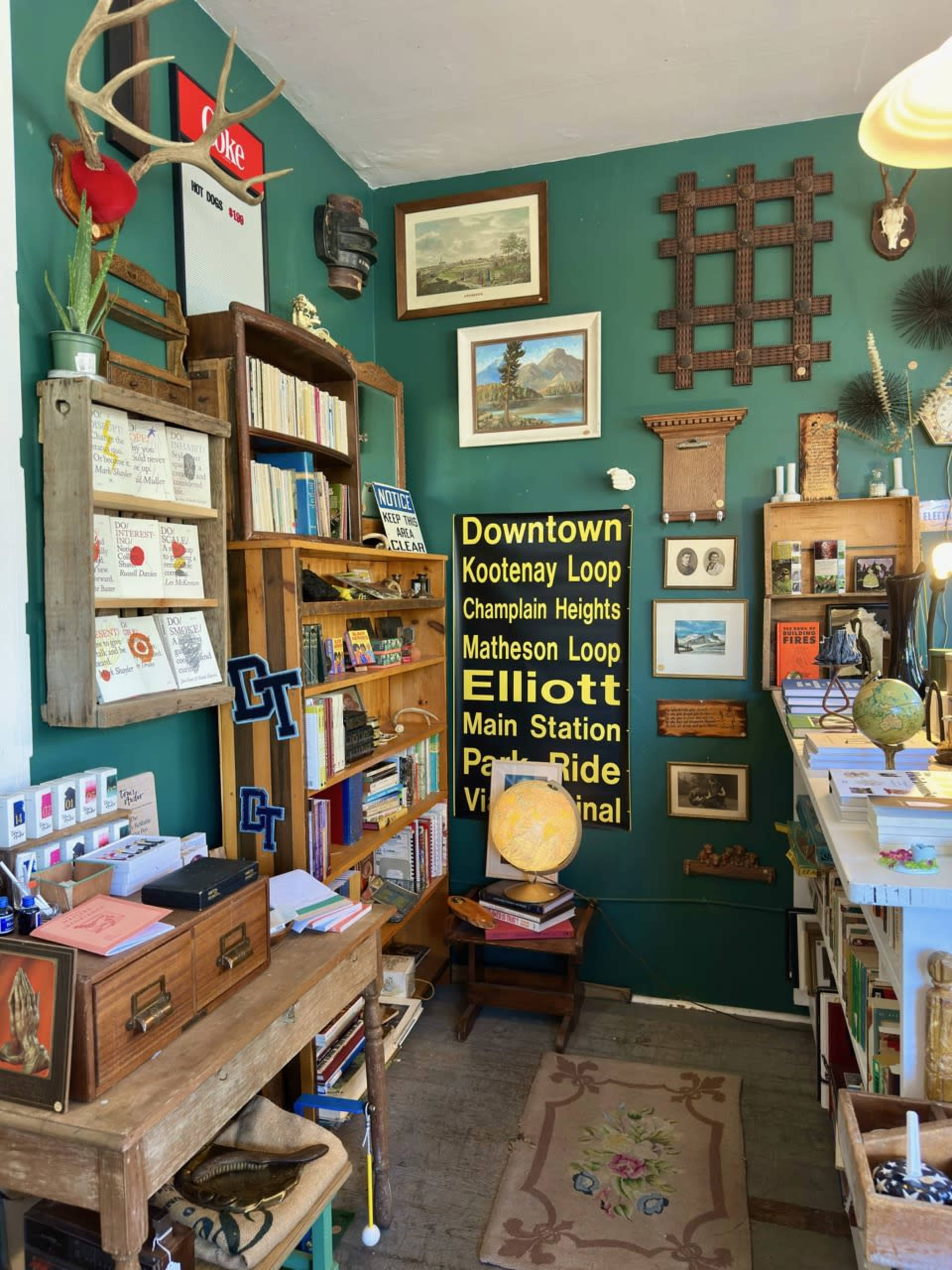 Vintage plant paradise in heritage shop that feels like home Image in Grandview-Woodland, Vancouver, BC