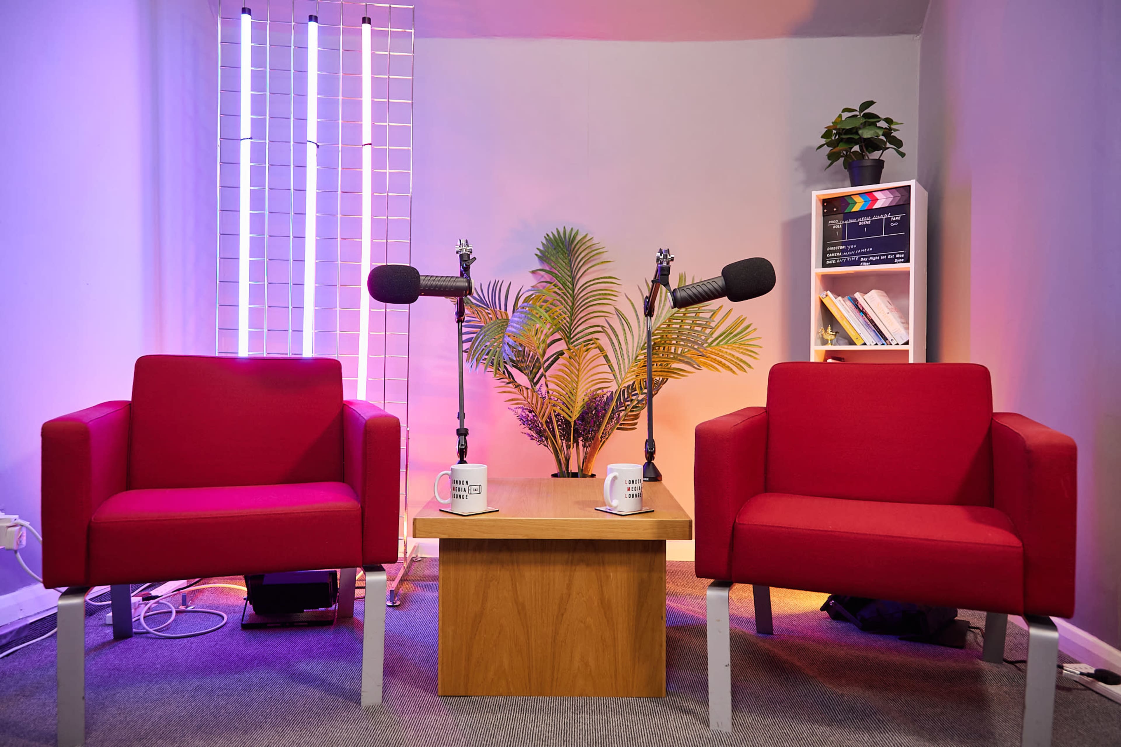 The image shows a small interview setup featuring two red chairs facing a wooden table, with microphones mounted on stands and a backdrop of decorative plants and lighting.