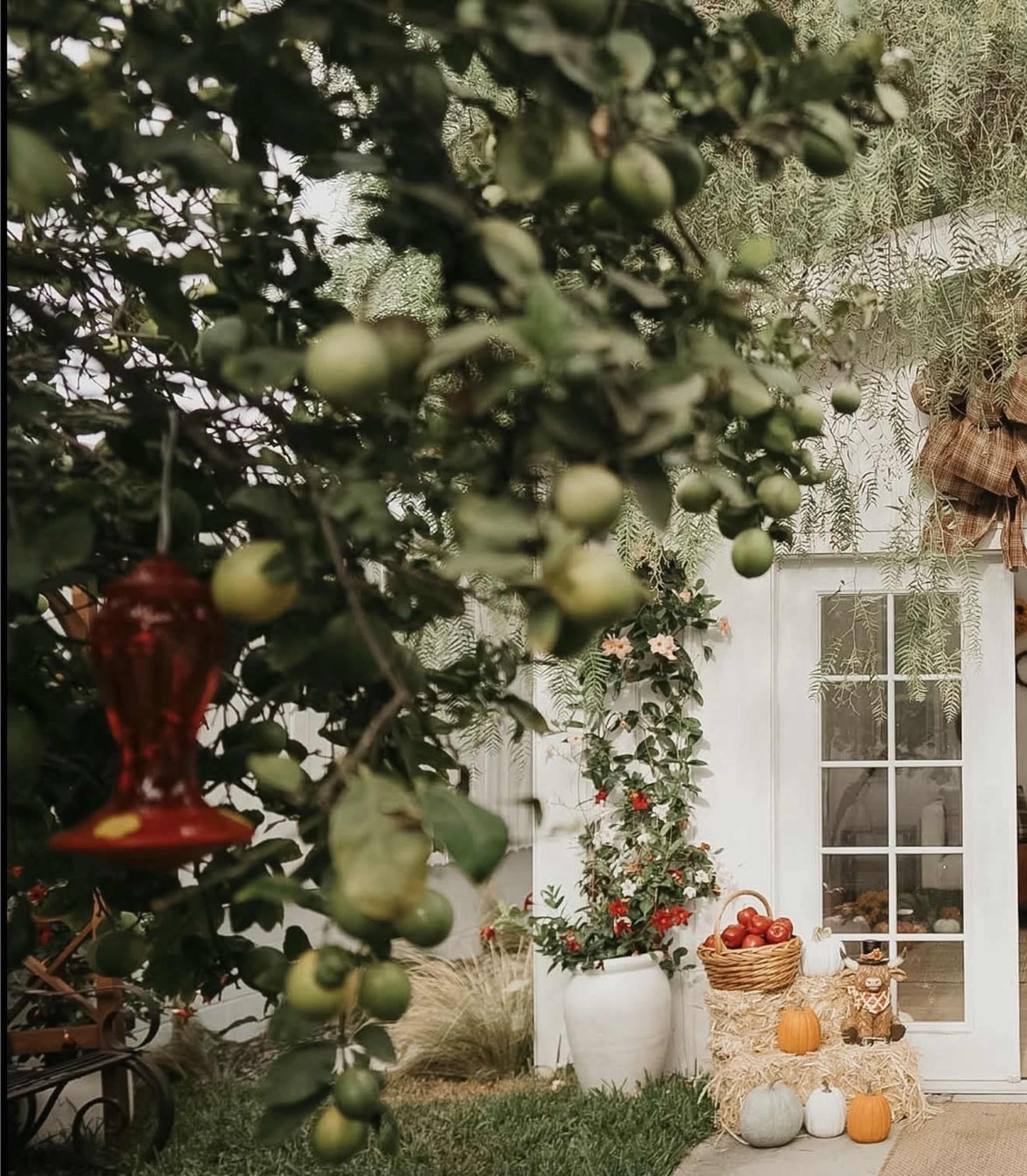 The image shows a garden with a variety of green fruit on trees, decorative pumpkins, and a bird feeder near a white door adorned with plants.