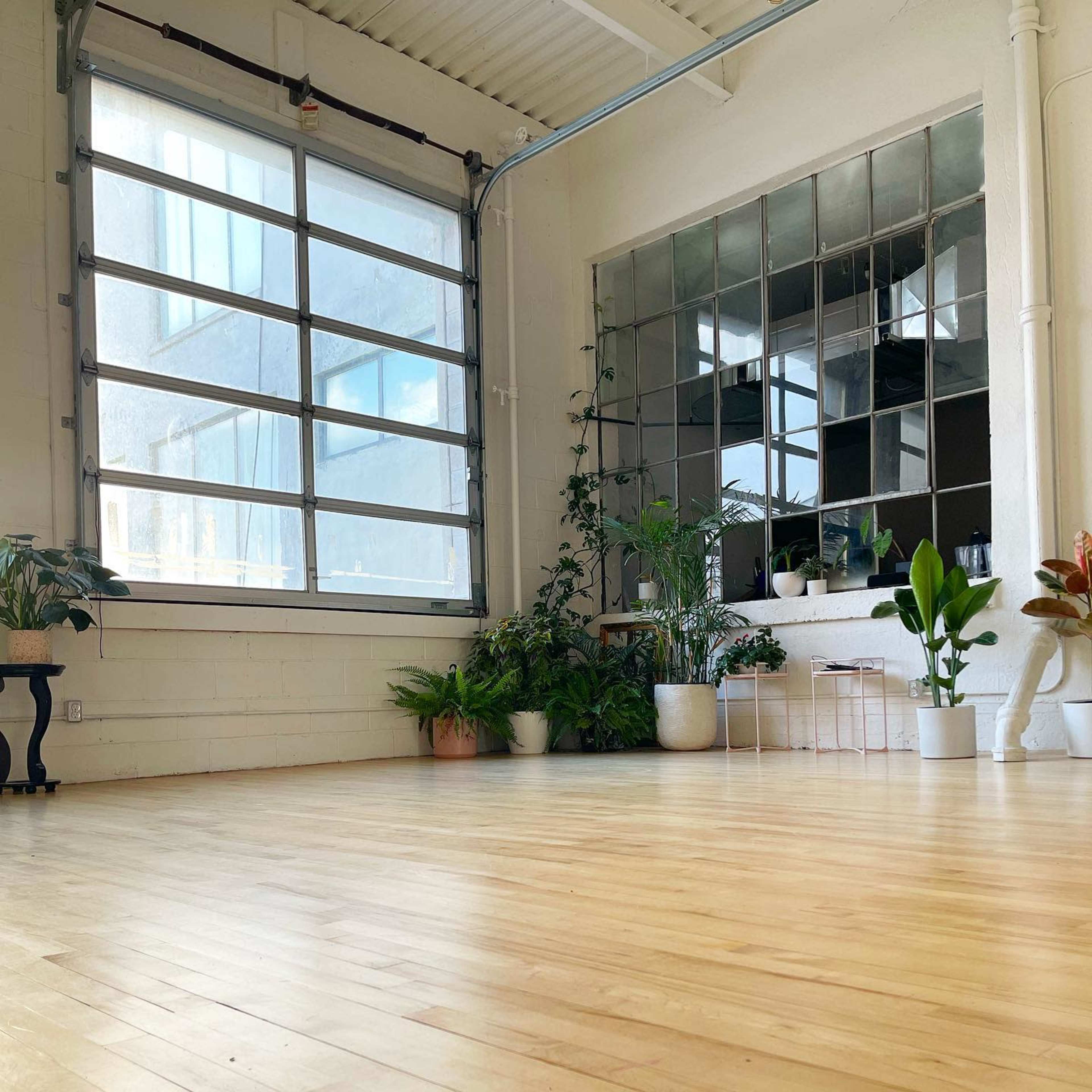 A spacious room featuring large windows, a mirrored wall, and various potted plants on the floor and shelves.