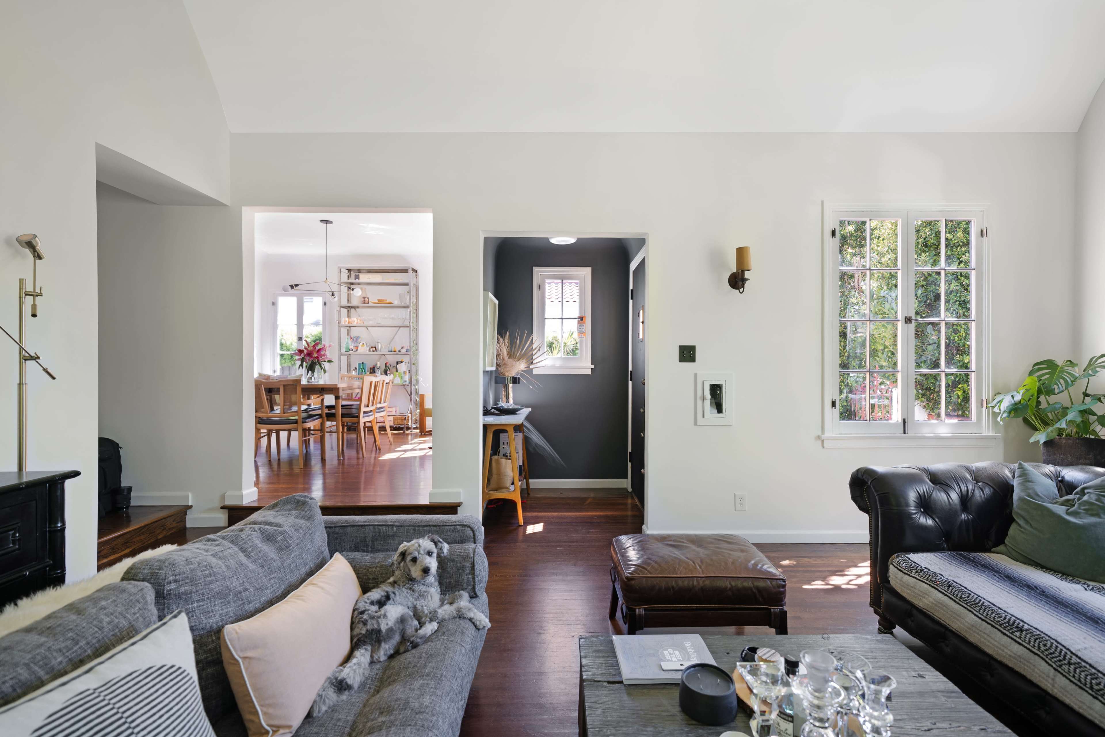 A cozy living room features a gray sofa with a dog lying on it, leading to a dining area in the background with a table and chairs.