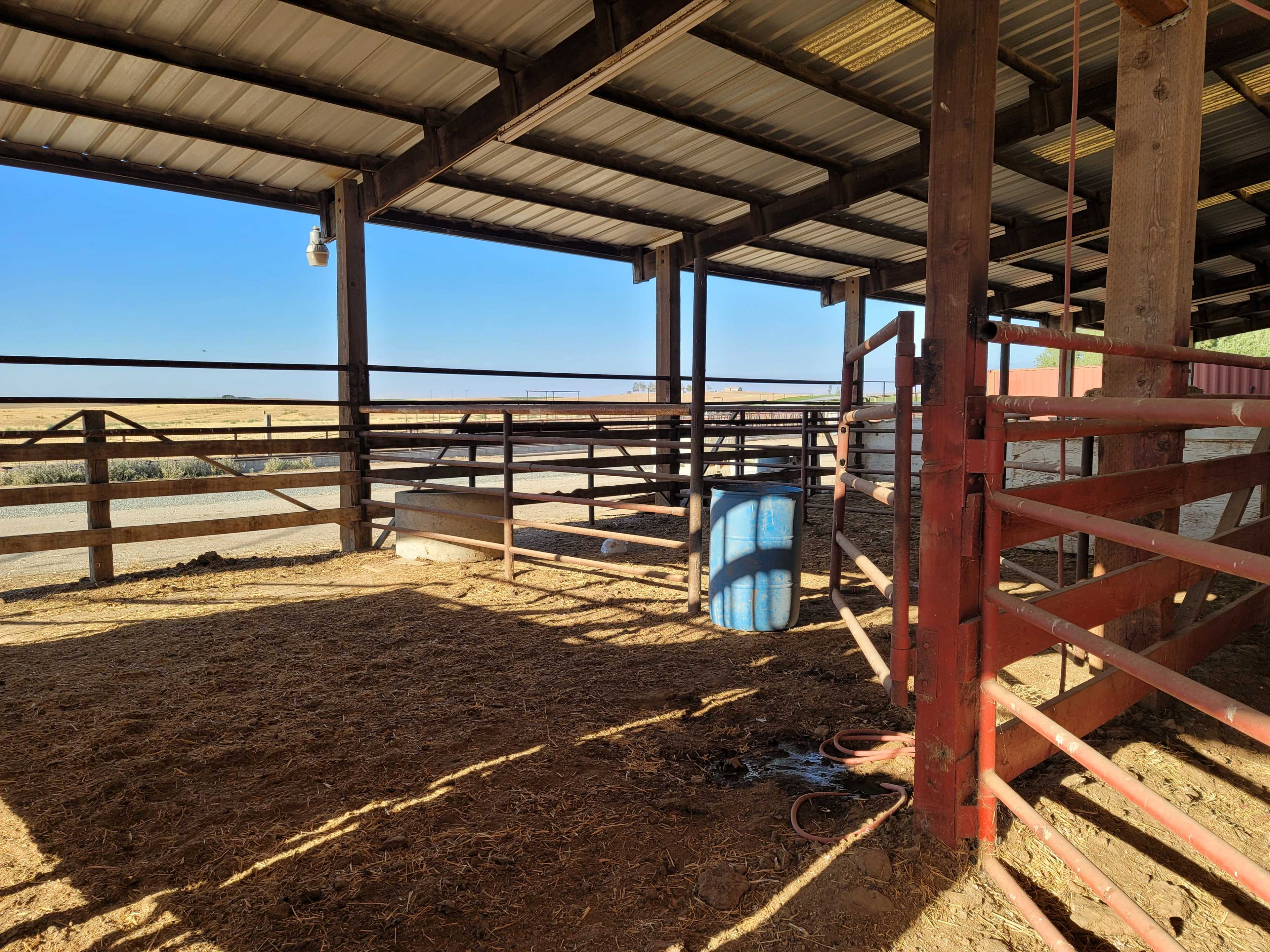 The interior of a barn with wooden fencing, a water trough, and sunlight streaming in through an open area.