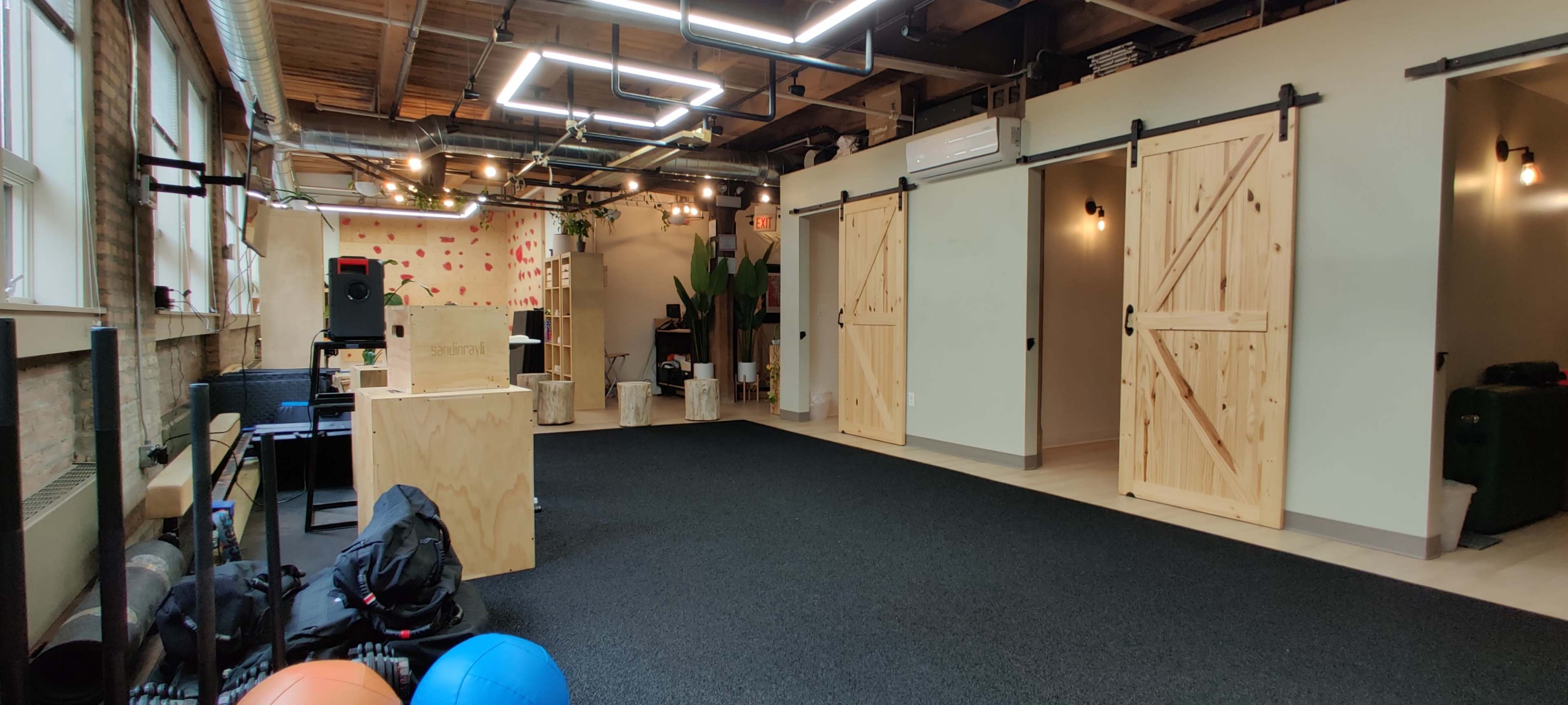 An open room with a black carpet, wooden sliding doors on one side, a few exercise balls, and decor featuring plants and wall art.
