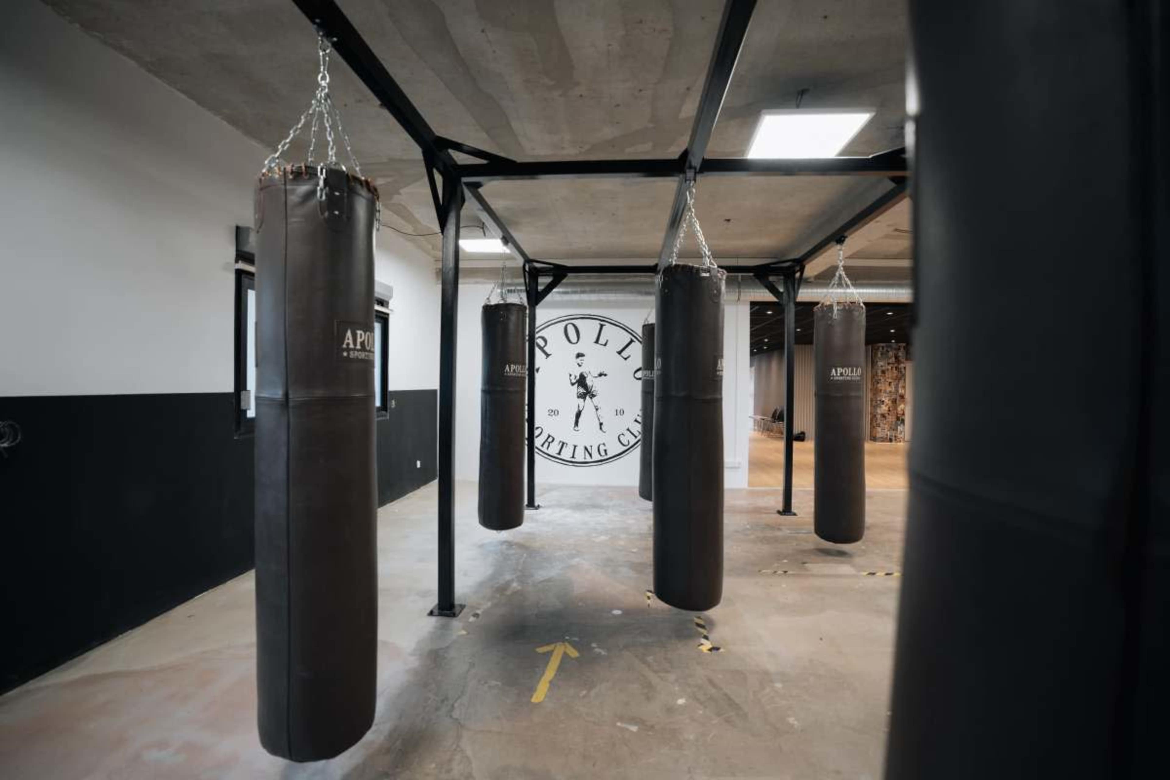 The image shows a boxing gym with multiple hanging punching bags arranged around a logo on the floor.