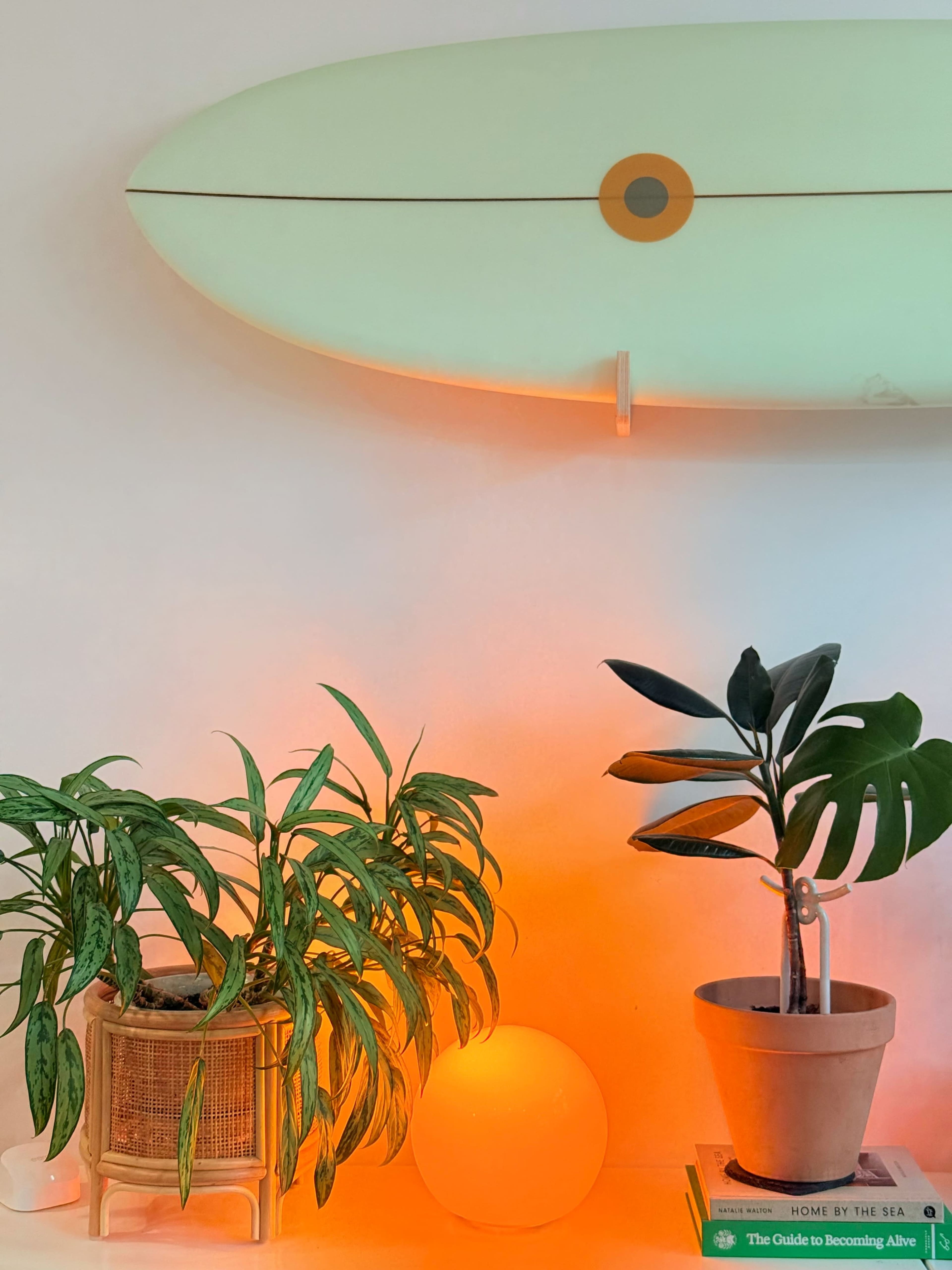 A surfboard hangs on the wall above two potted plants and a glowing orange lamp.