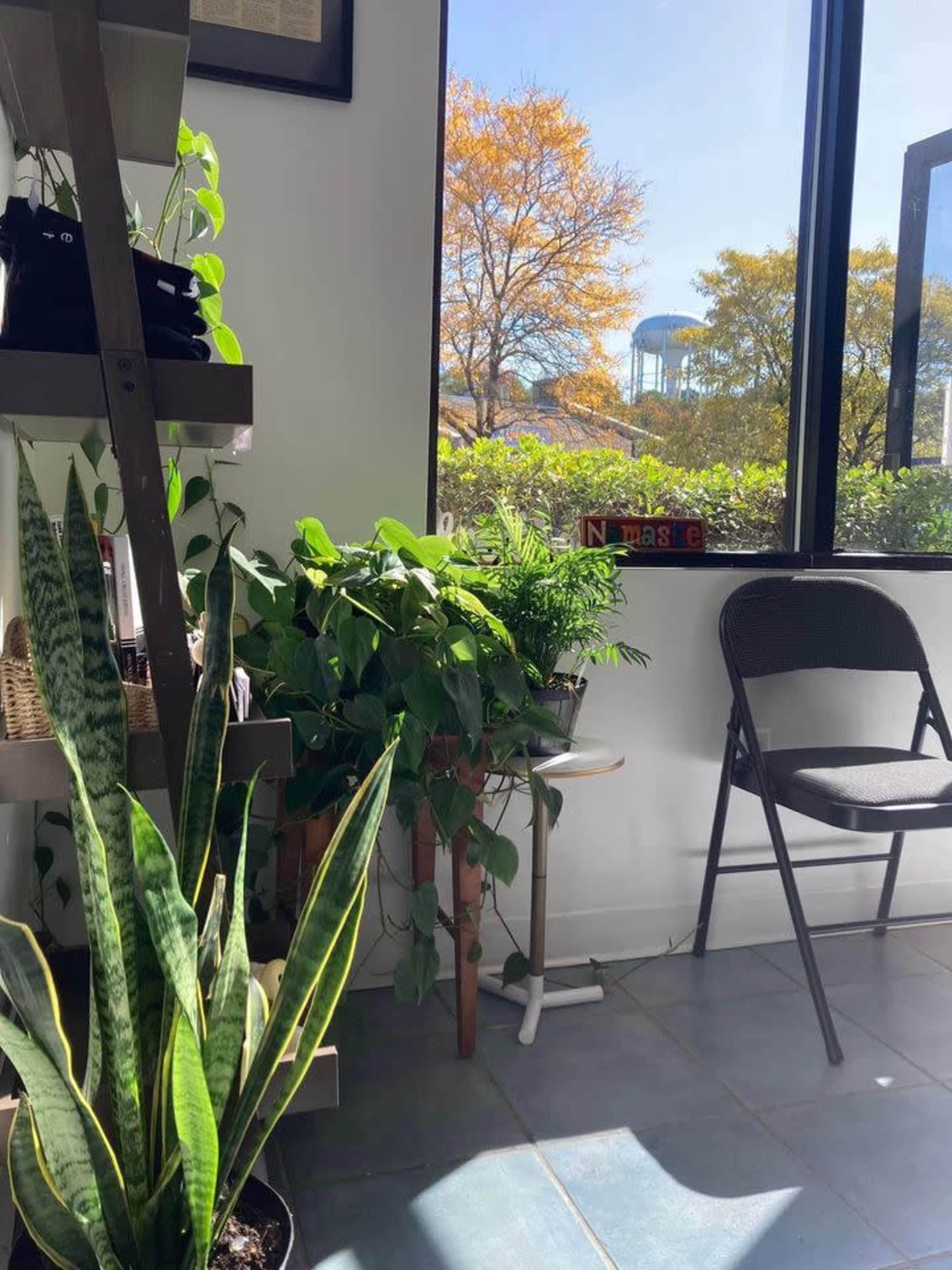 A corner of a room with potted plants, a chair, and a view of trees outside through a window.