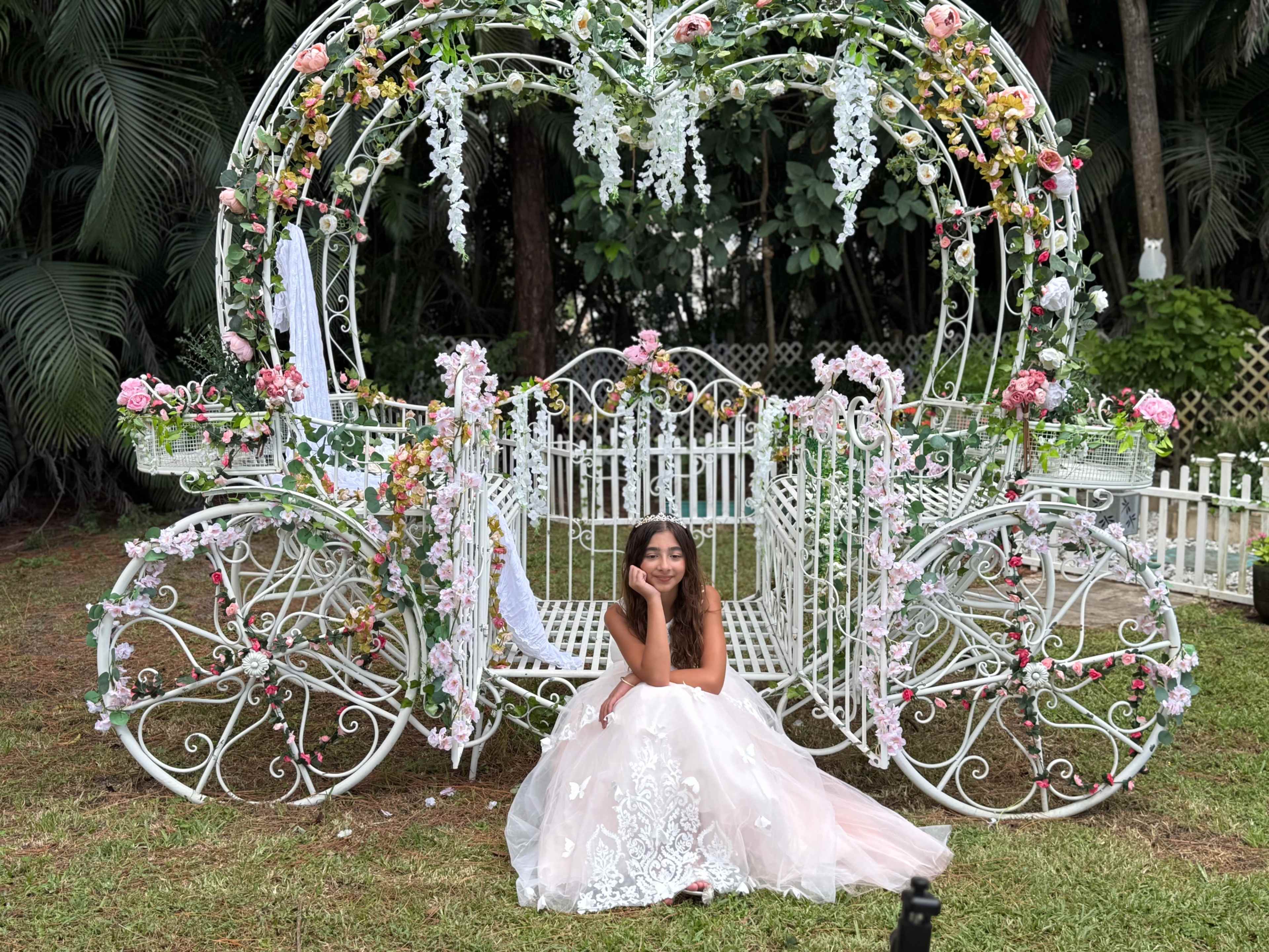 Forever Now Magical Carriage Image in The Acreage, West Palm Beach, FL