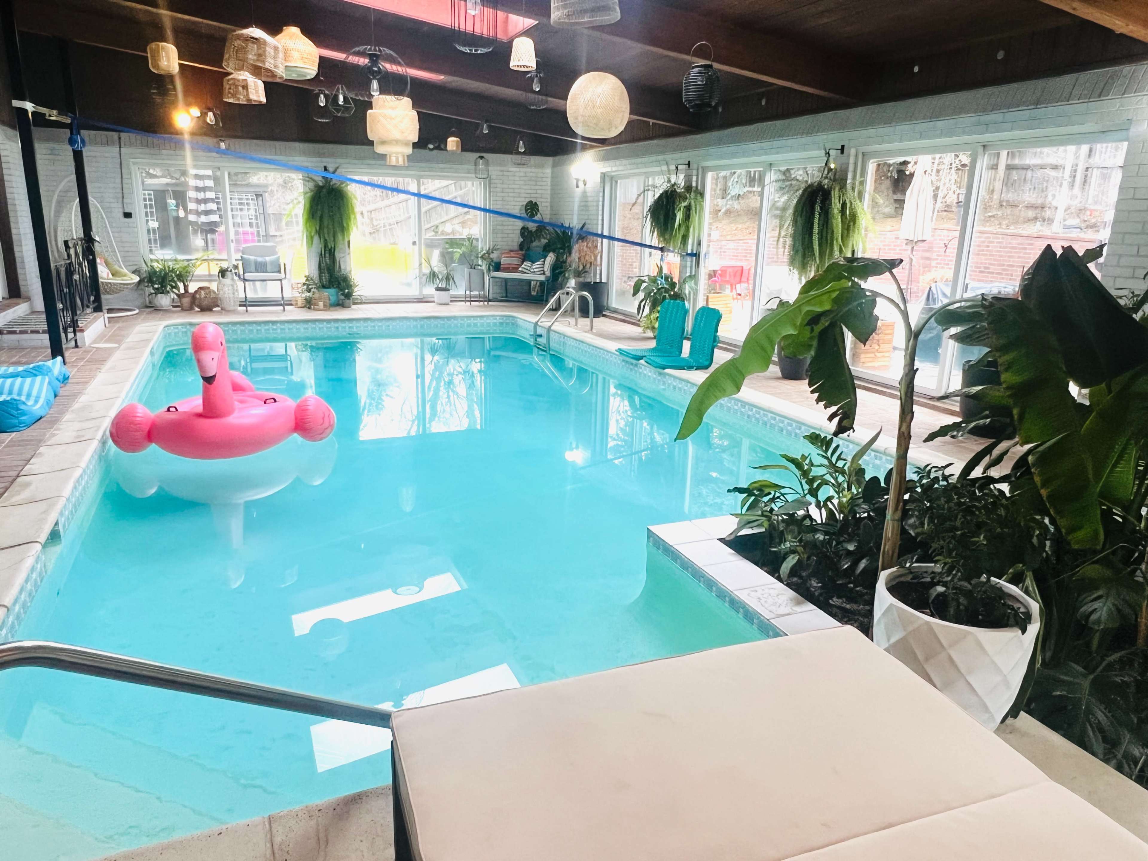 Tropical Indoor Swimming Oasis Image in Hampden South, Denver, CO