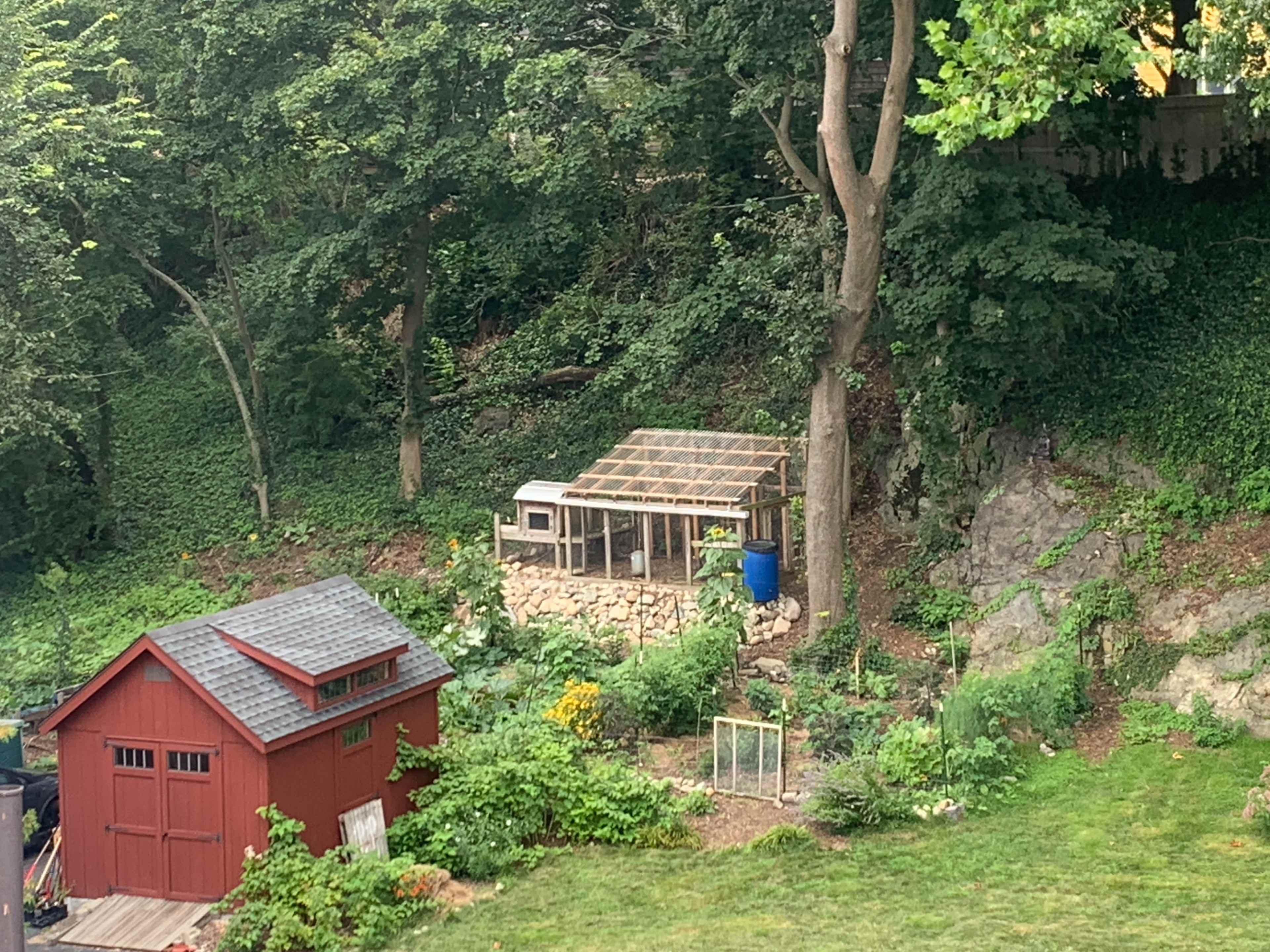 The image shows a garden area with a wooden greenhouse, a blue barrel, and a red shed surrounded by trees and greenery.