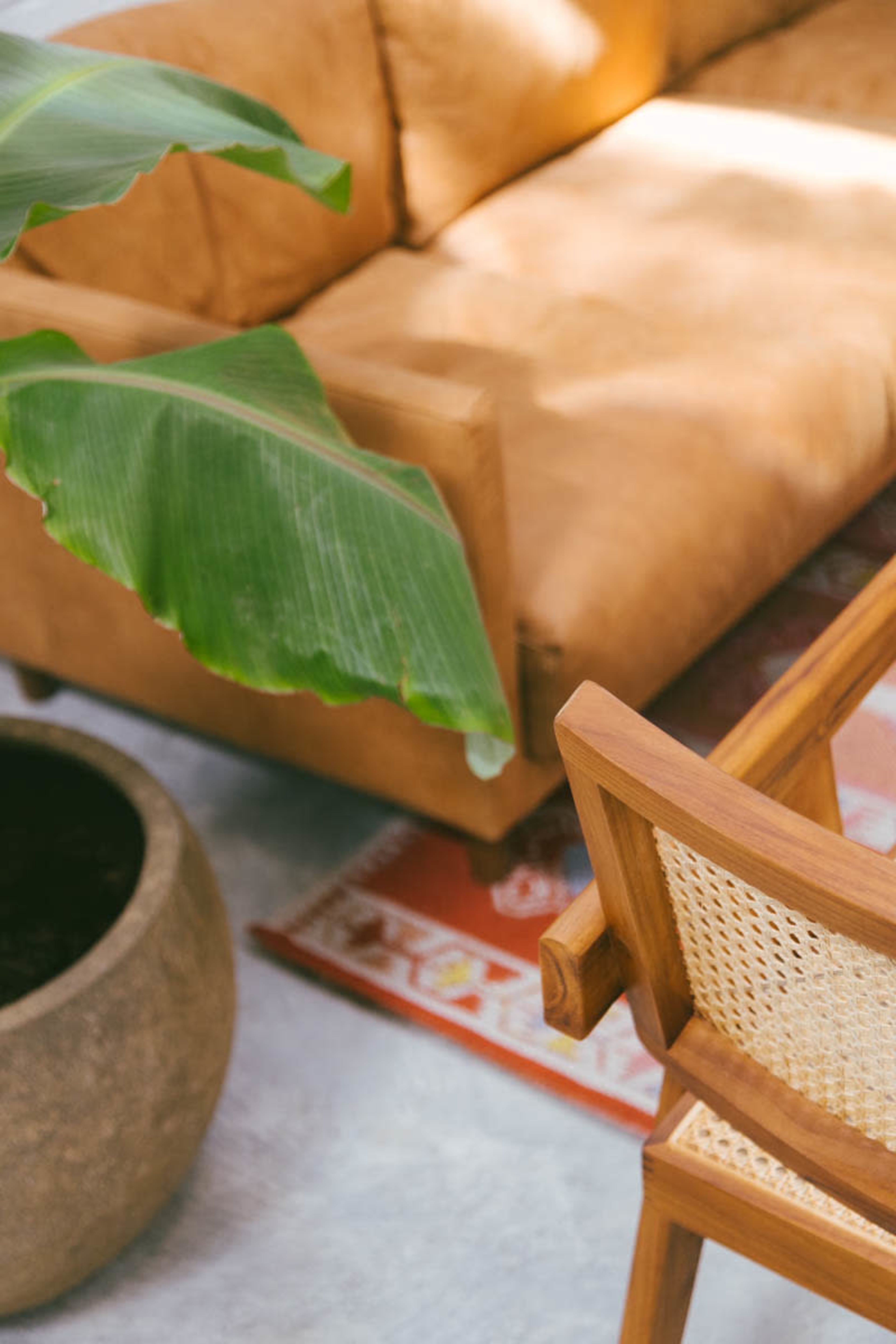 A brown sofa is positioned near a decorative plant and a wooden chair on a patterned rug.