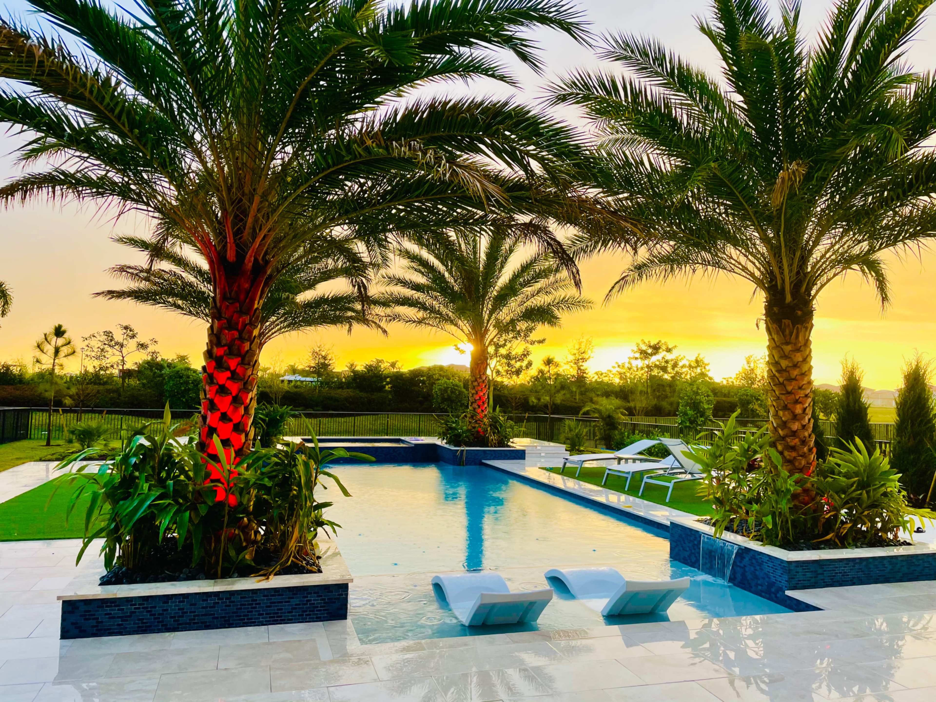 A modern backyard features a swimming pool surrounded by tall palm trees and lounge chairs, with a sunset in the background.