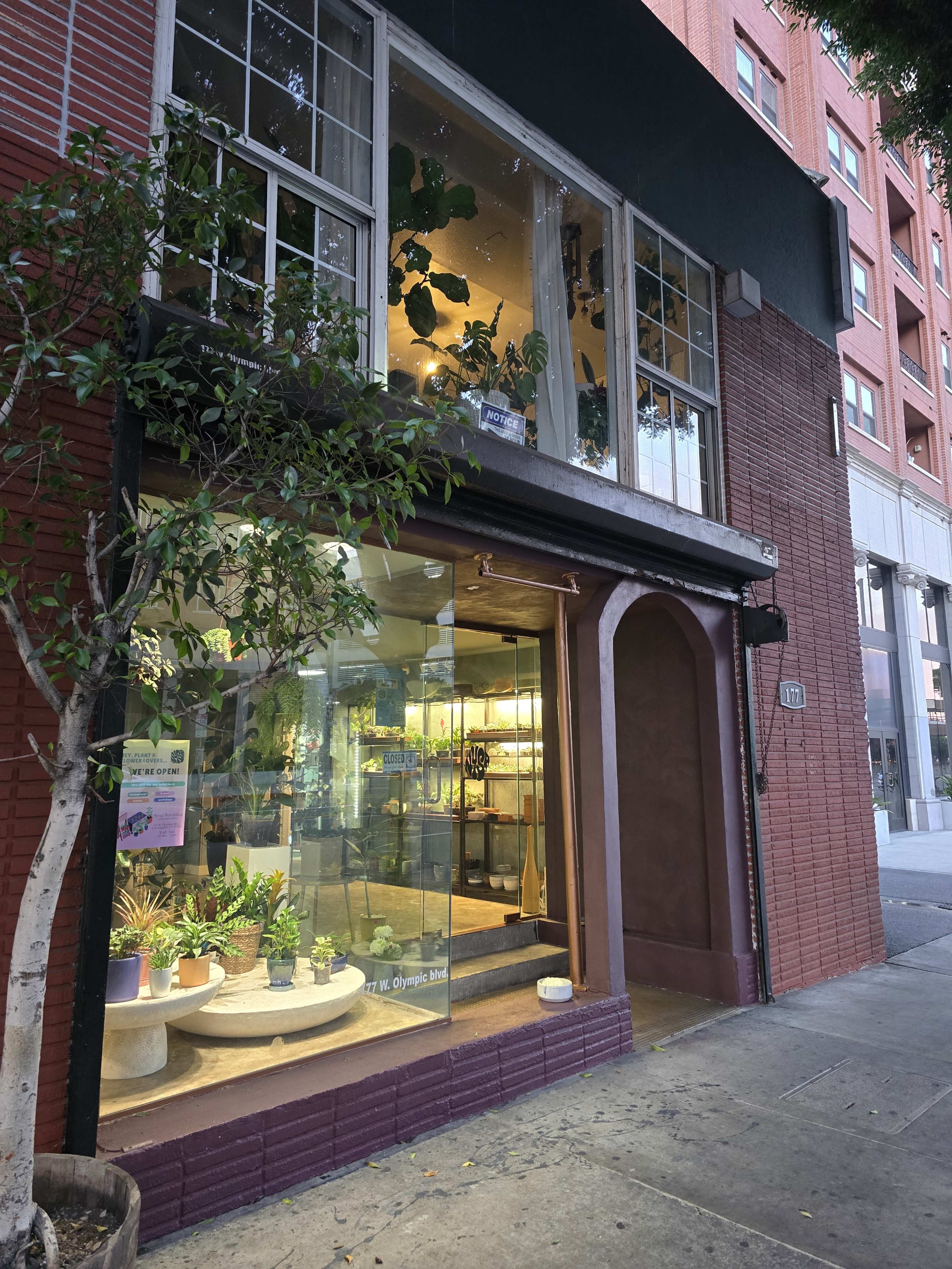 A storefront with large windows displays plants and decorative items, featuring a vibrant interior and potted greenery outside.