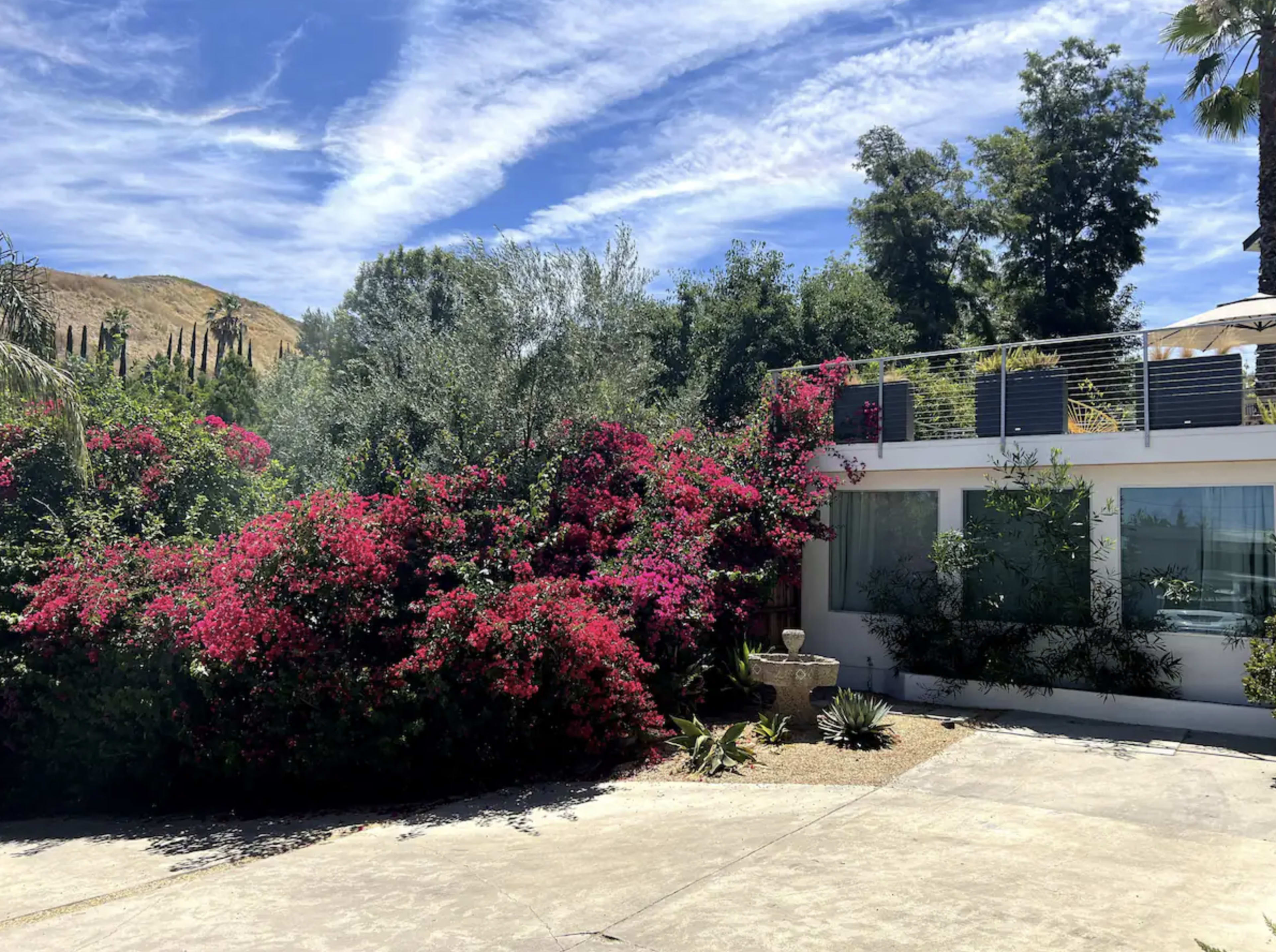 The scene features a modern house surrounded by vibrant bougainvillea and lush greenery under a blue sky with wispy clouds.