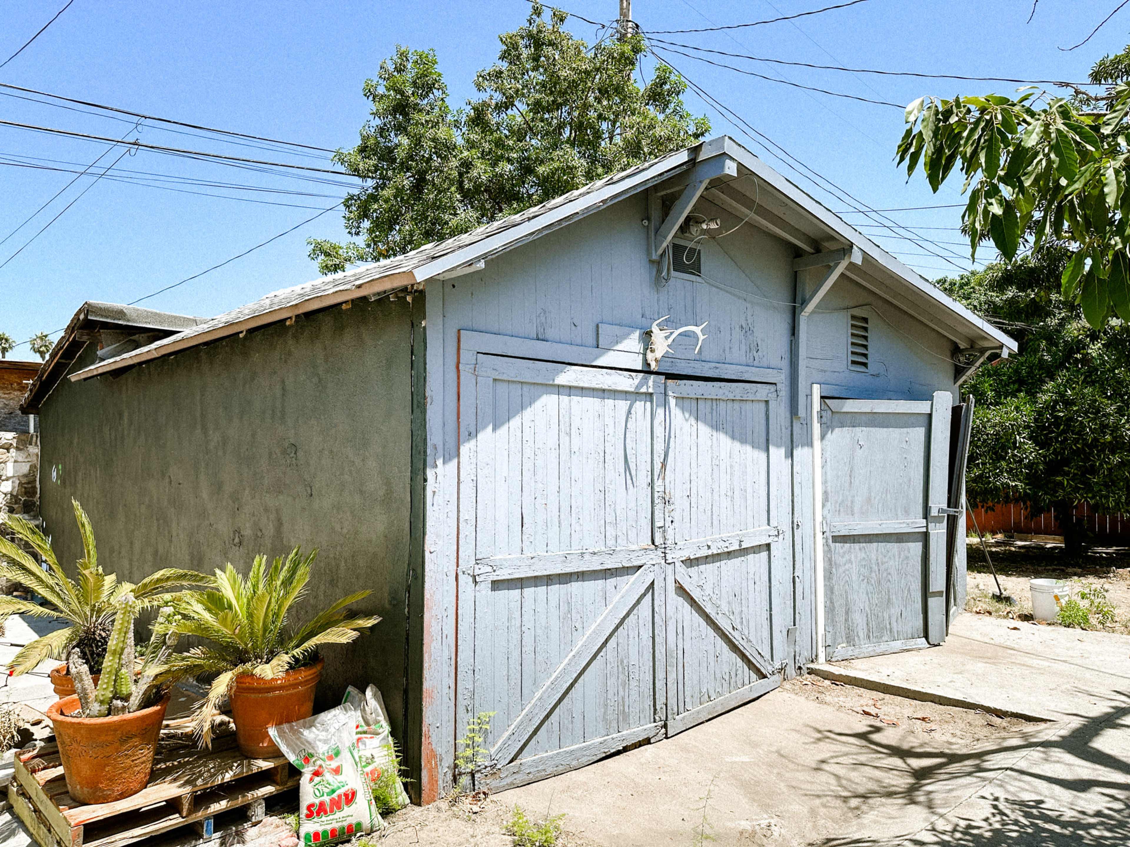 A light blue wooden shed sits beside a paved pathway, flanked by potted plants and surrounded by power lines and trees.