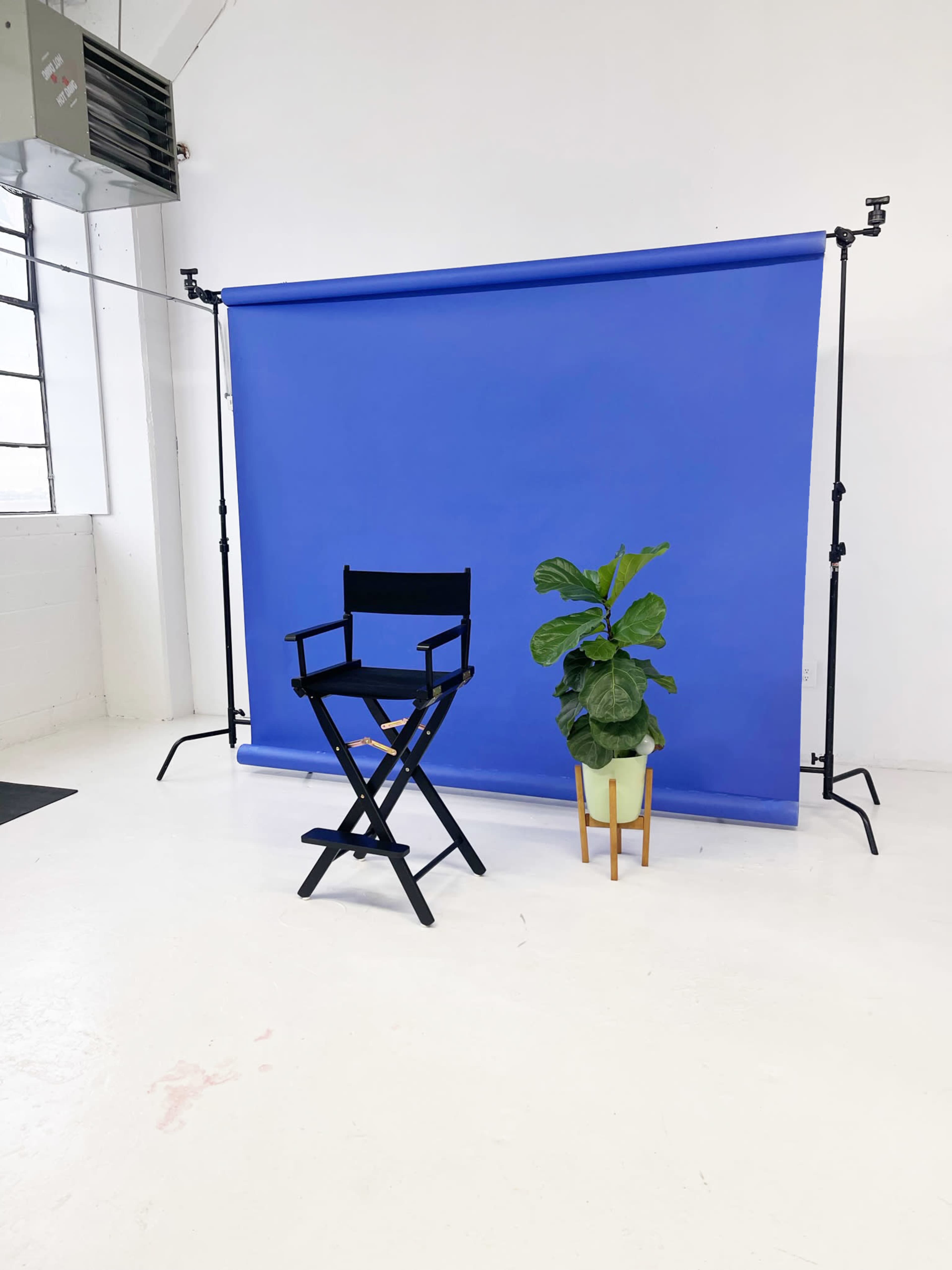 The image shows a photo studio setup with a blue backdrop, a black director's chair, and a potted plant on a small wooden stand.