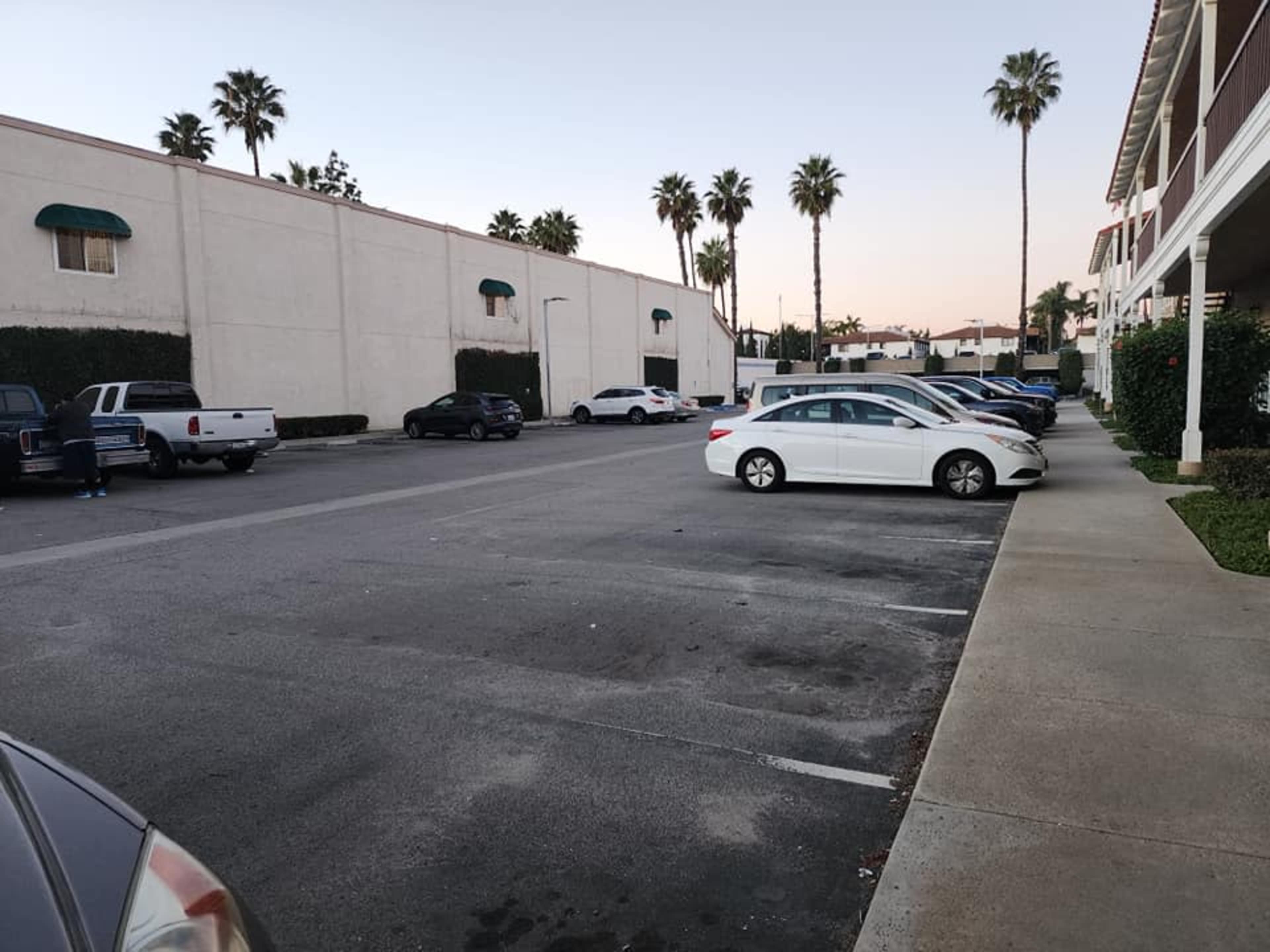 A mostly empty parking lot beside a building, lined with palm trees and a few parked vehicles.