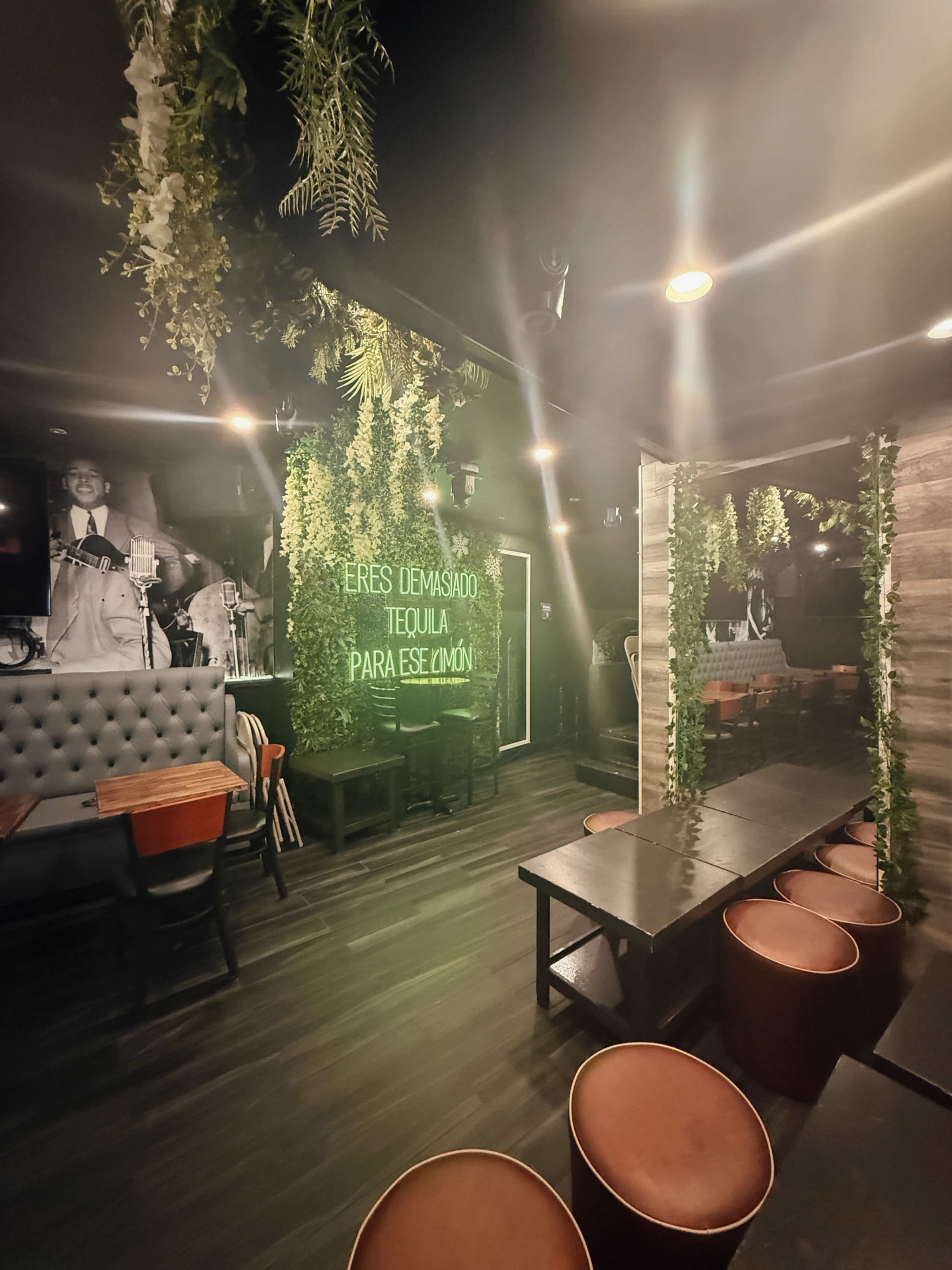 Versatile Lounge for Private Events Image in Jackson Heights, Jackson Heights, NY