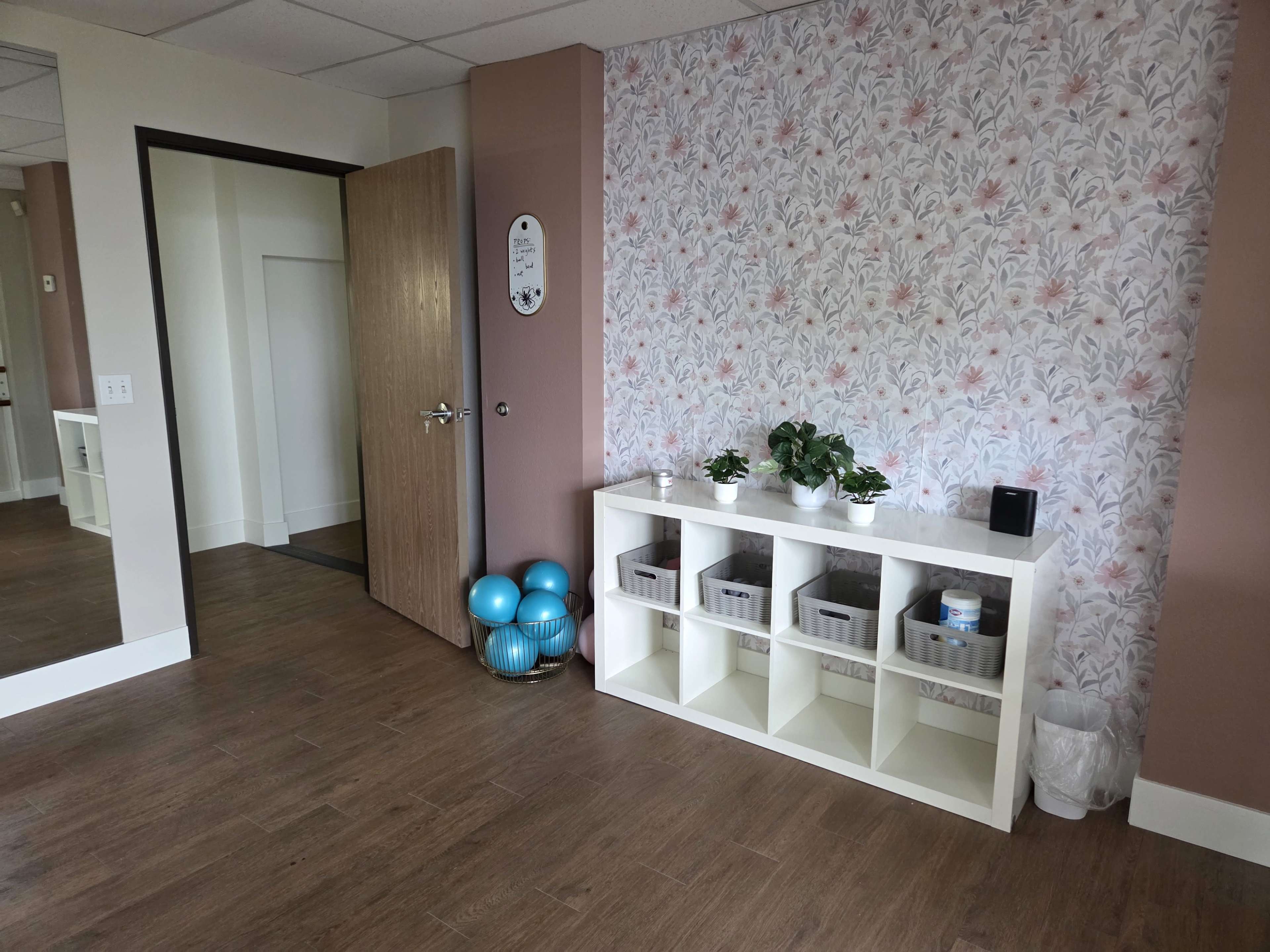 The image shows a well-lit room with a patterned floral wall, a white cubby shelf with storage bins, a door, and exercise balls in the corner.