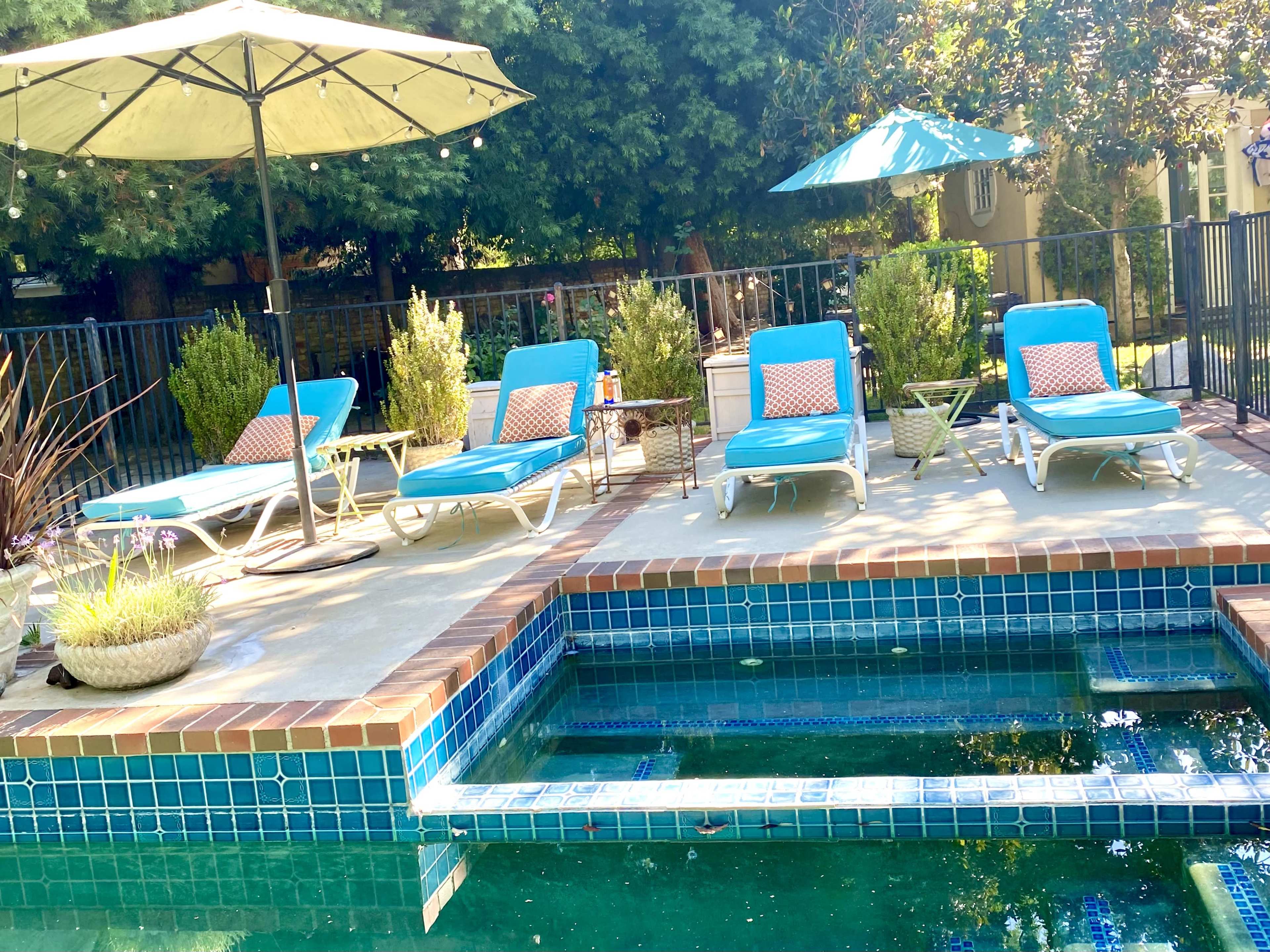 A pool area features four lounge chairs and two umbrellas surrounded by potted plants and a tiled edge.