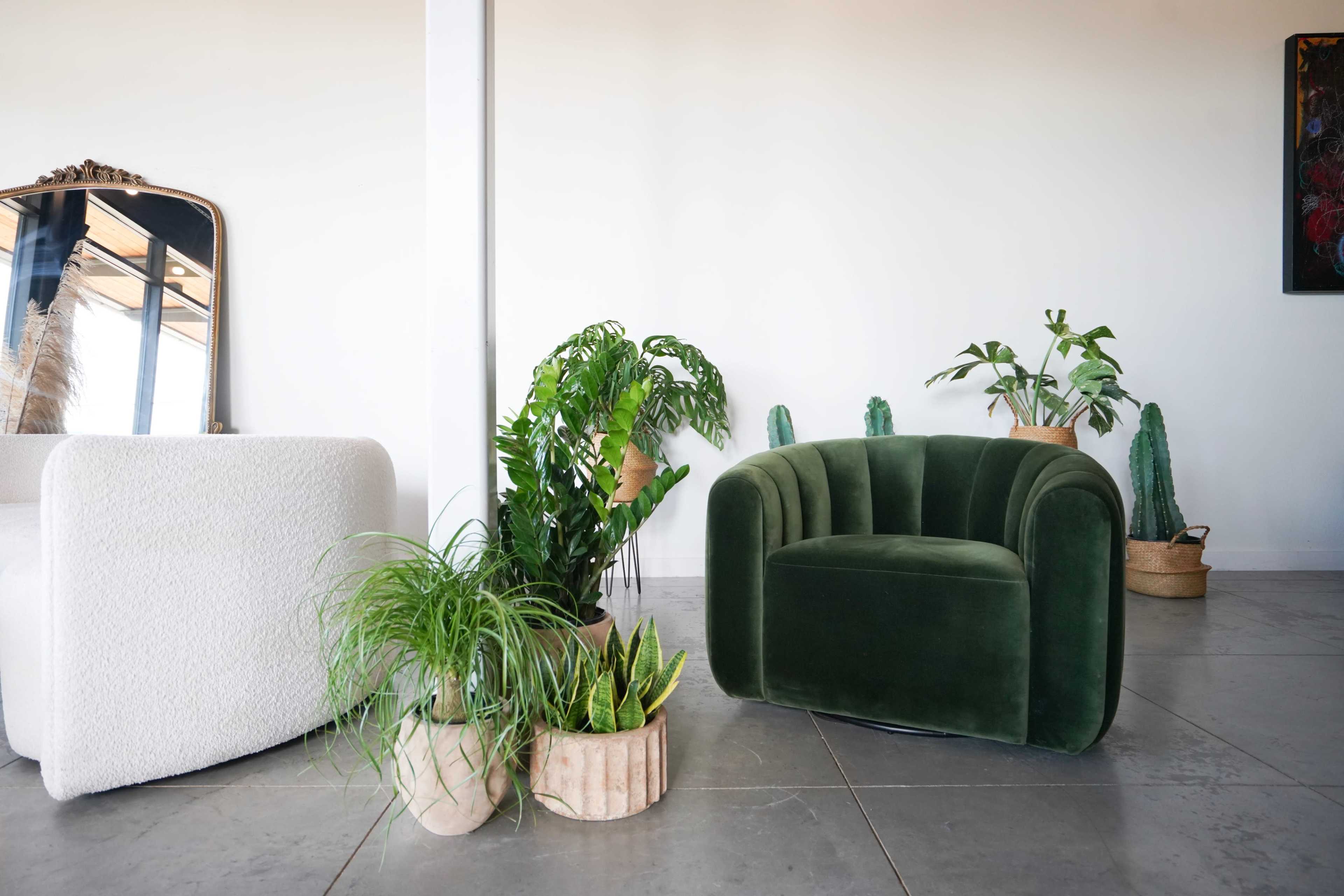 A modern interior space featuring a green velvet armchair and a white upholstered chair, surrounded by various potted plants.
