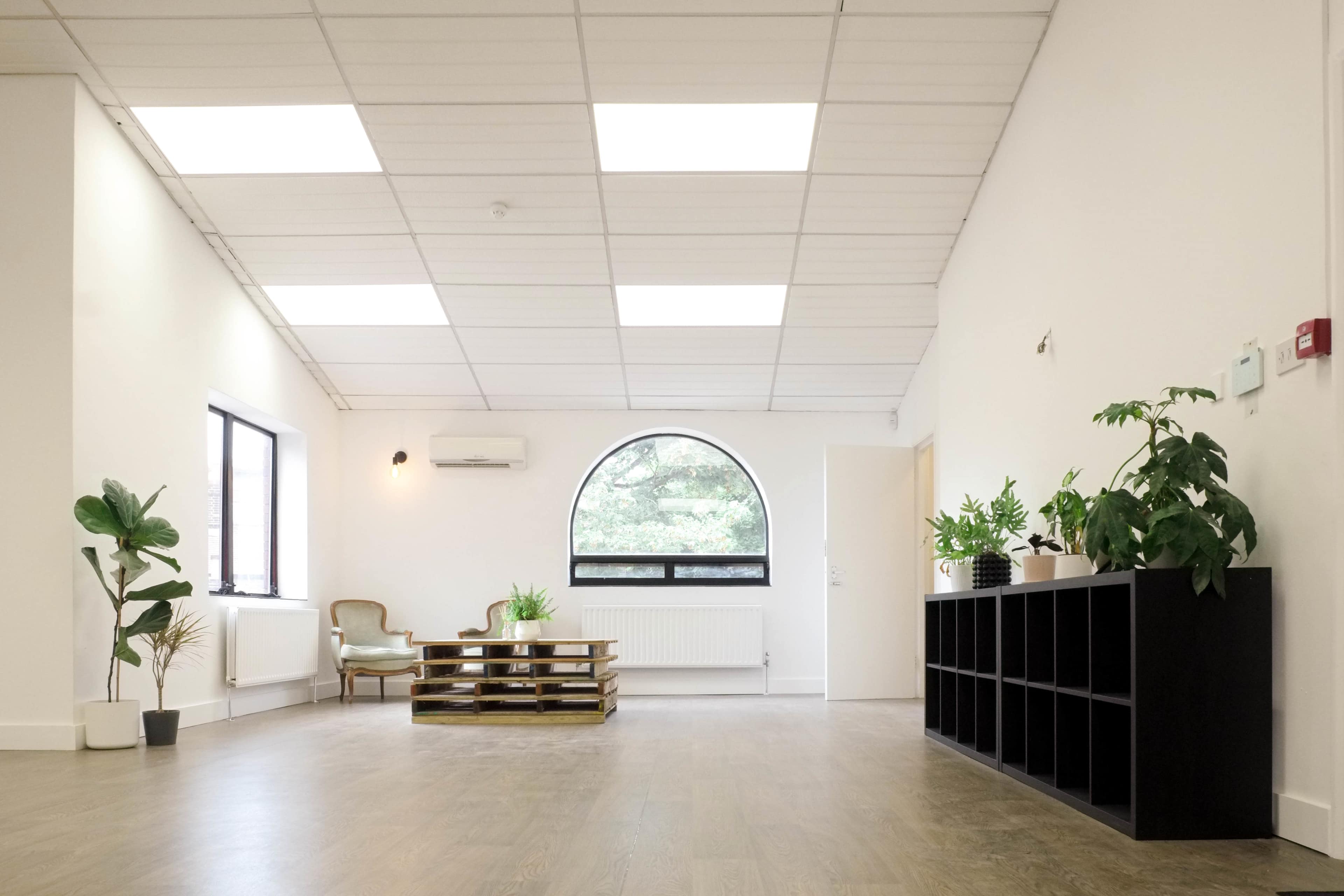 A spacious, well-lit room featuring a seating area with an armchair and a coffee table, alongside several potted plants and a black shelving unit against the wall.