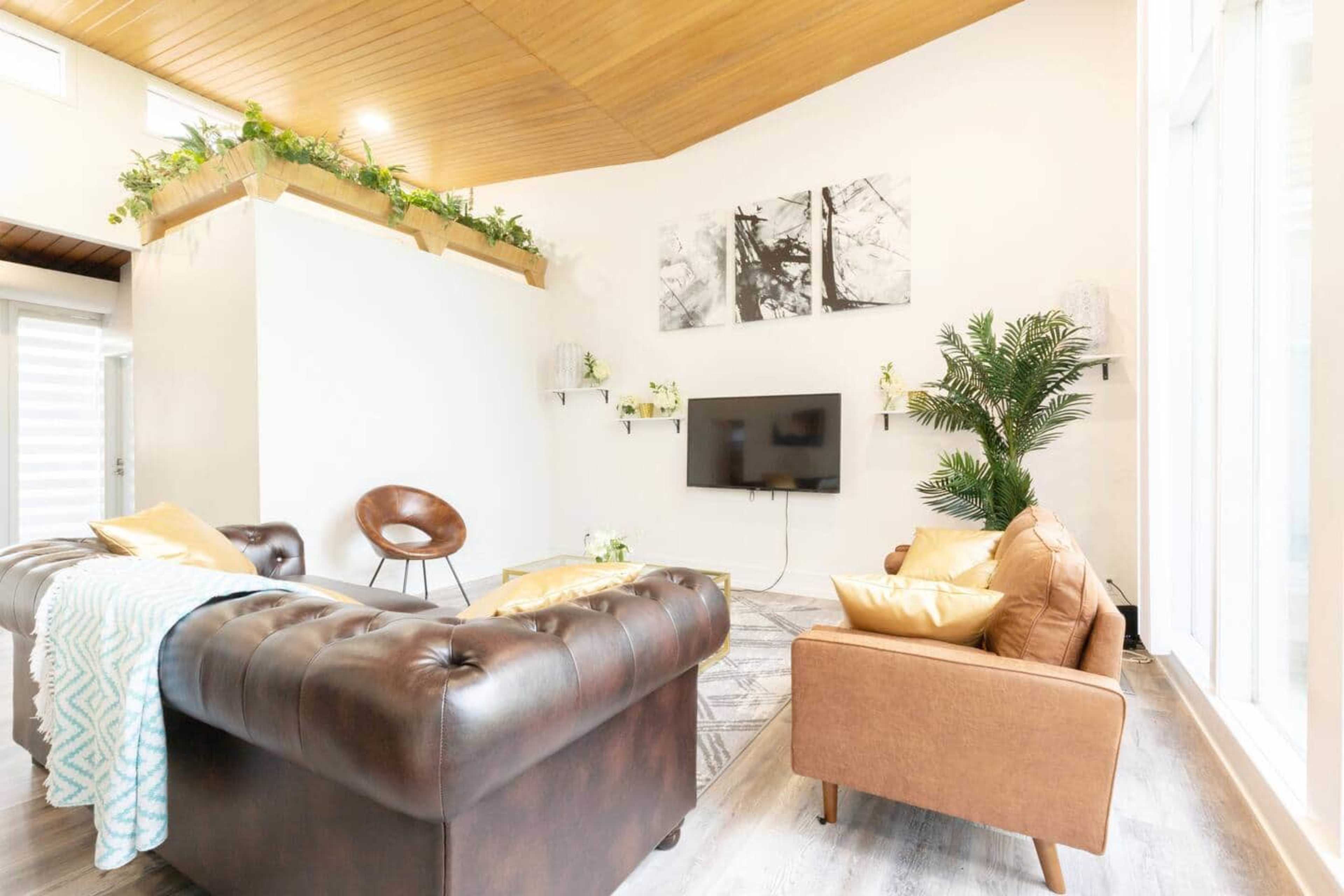 The image shows a modern living room featuring a brown leather couch, a tan armchair, a television mounted on the wall, and decorative plants.