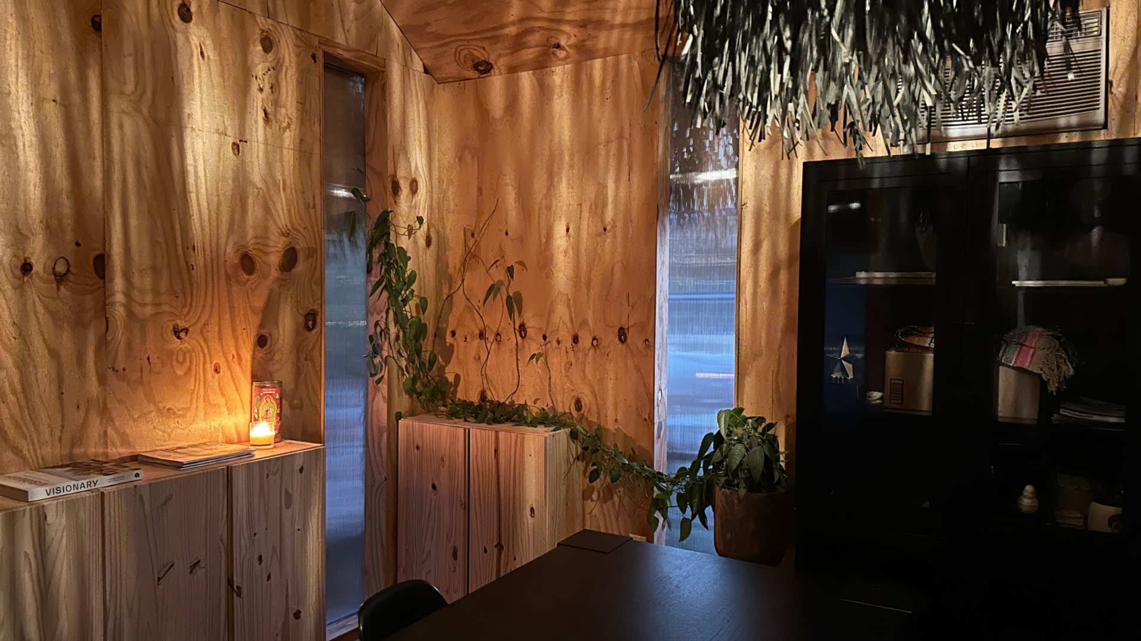 The scene shows a room with wooden walls and furniture, featuring a candle on a shelf, indoor plants, and a dark cabinet against the wall.