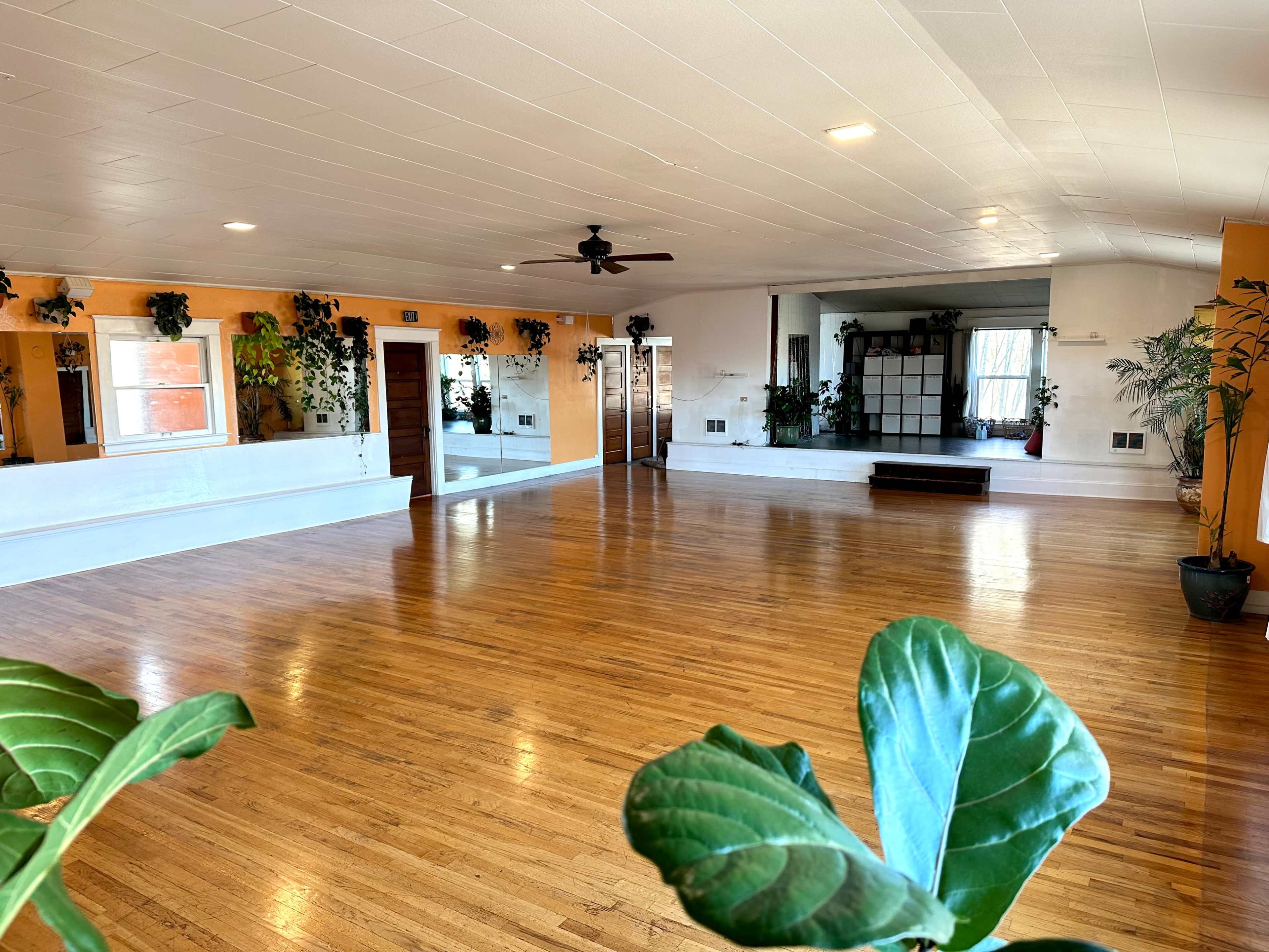 The image shows a large, empty studio space with wooden flooring, large mirrors, and potted plants along the walls.
