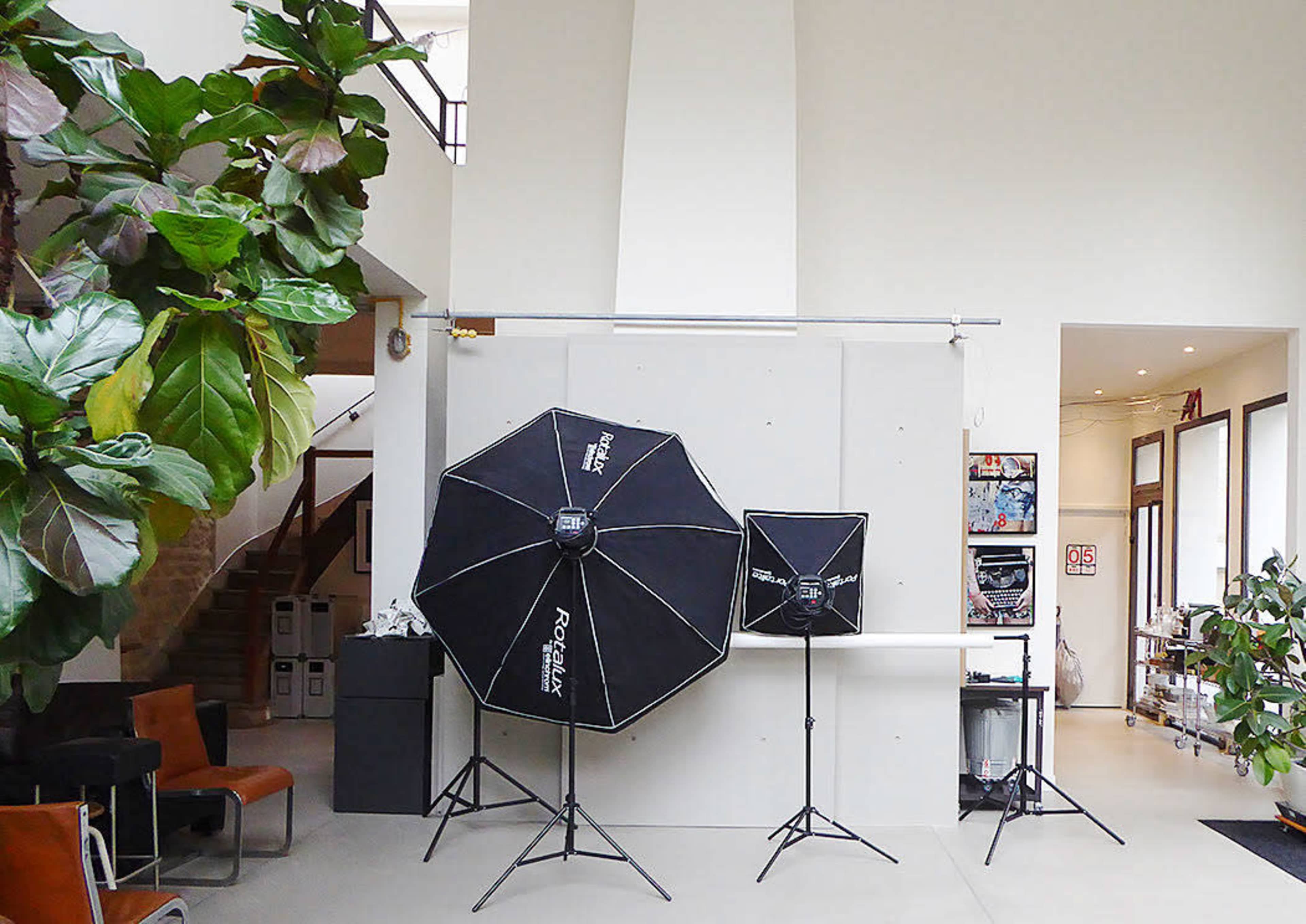 A well-lit studio space featuring two large softbox lights, a backdrop setup, and indoor plants.