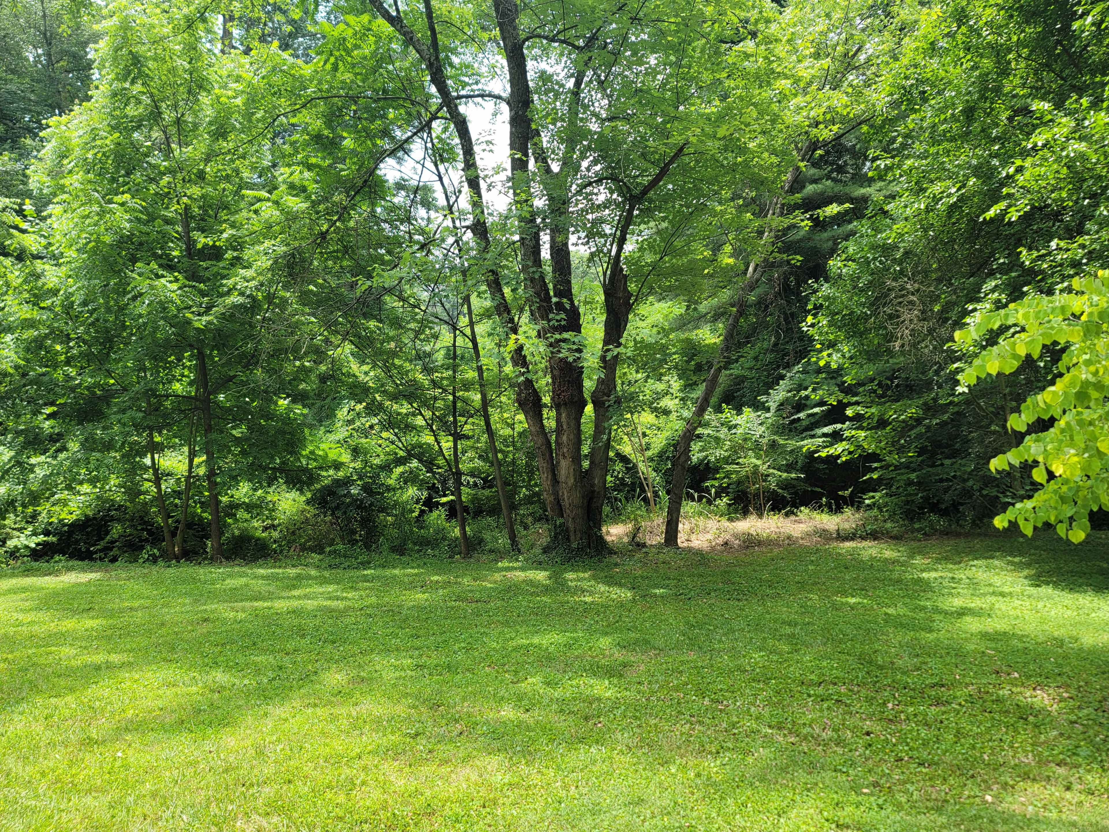 Perfect Outdoor Photography backdrop - Creekside grassy knoll under the shade of trees Image in Kingsville, Kingsville, MD
