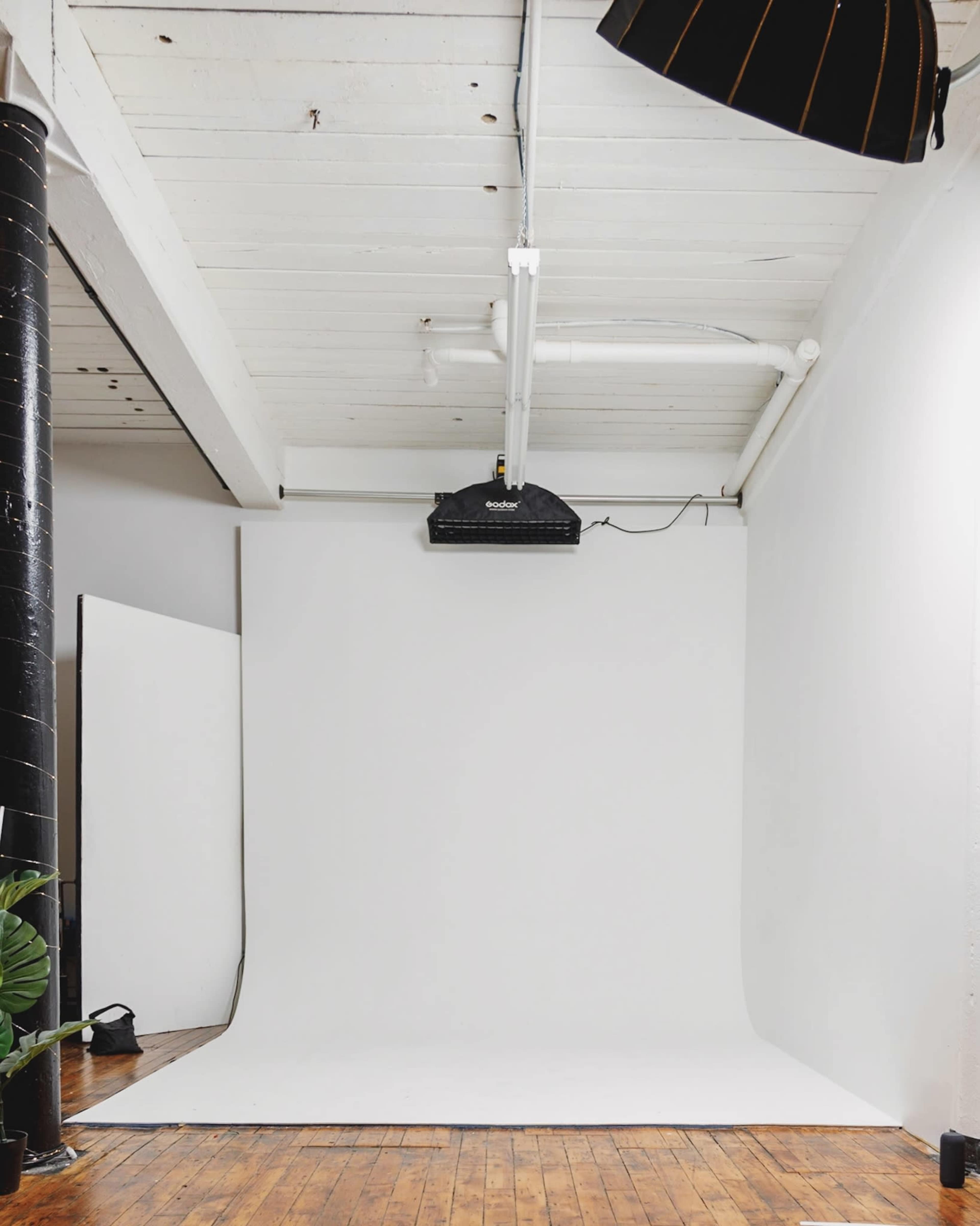 A photography studio with a white backdrop, wooden flooring, and overhead lighting.