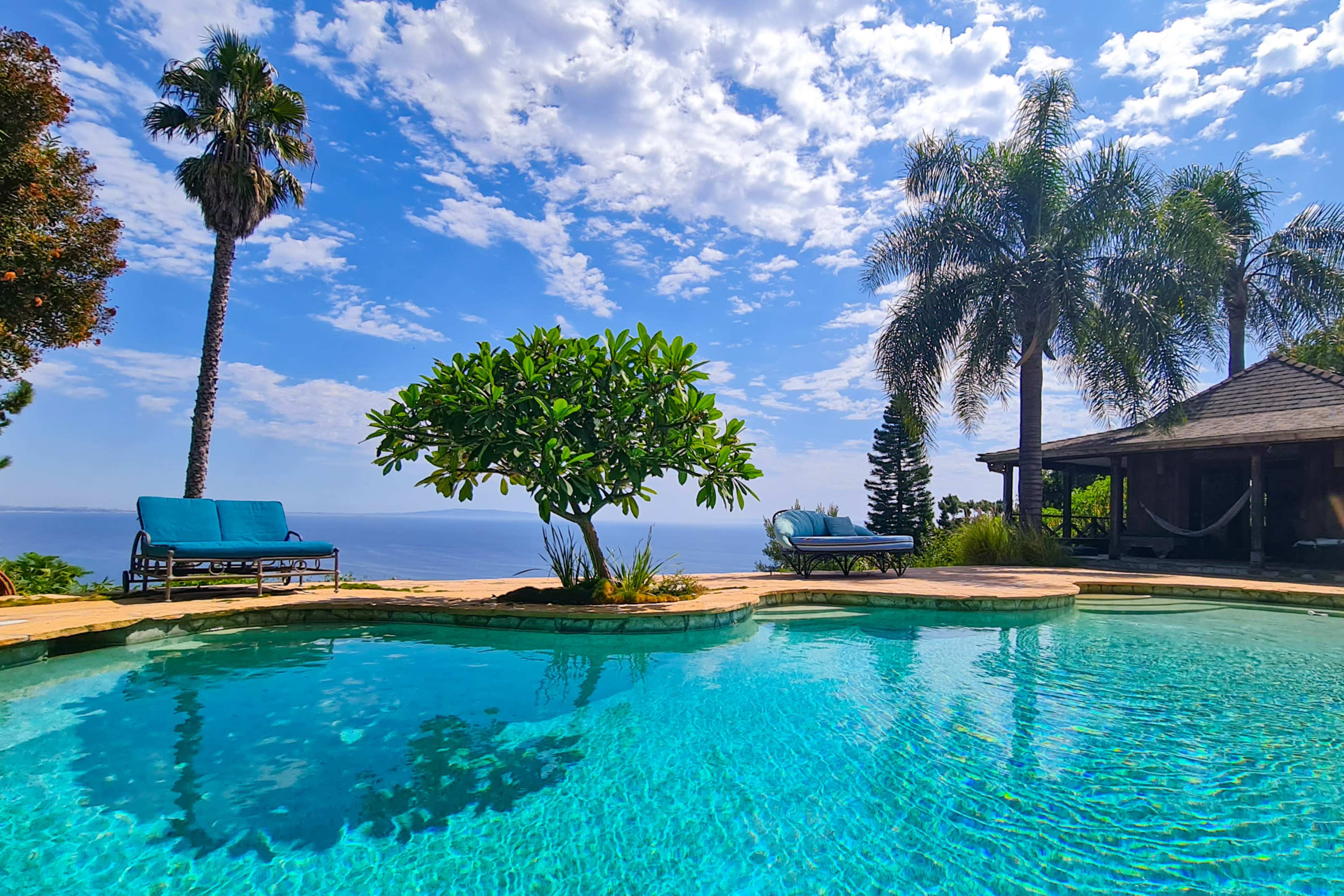 The scene features a clear swimming pool surrounded by palm trees and a tropical plant, with a lounge chair and a gazebo visible in the background.