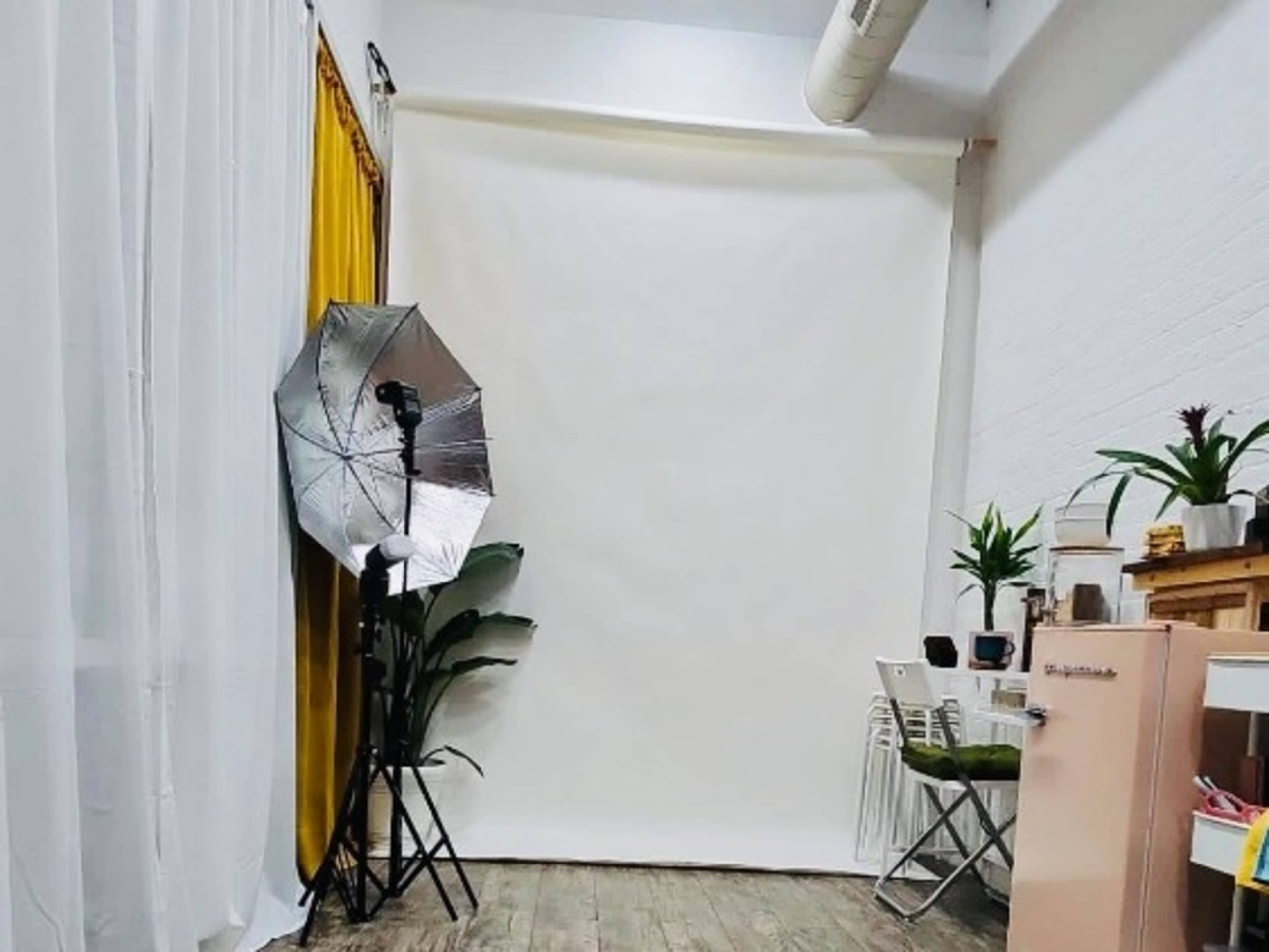 Seamless Backdrop Pull