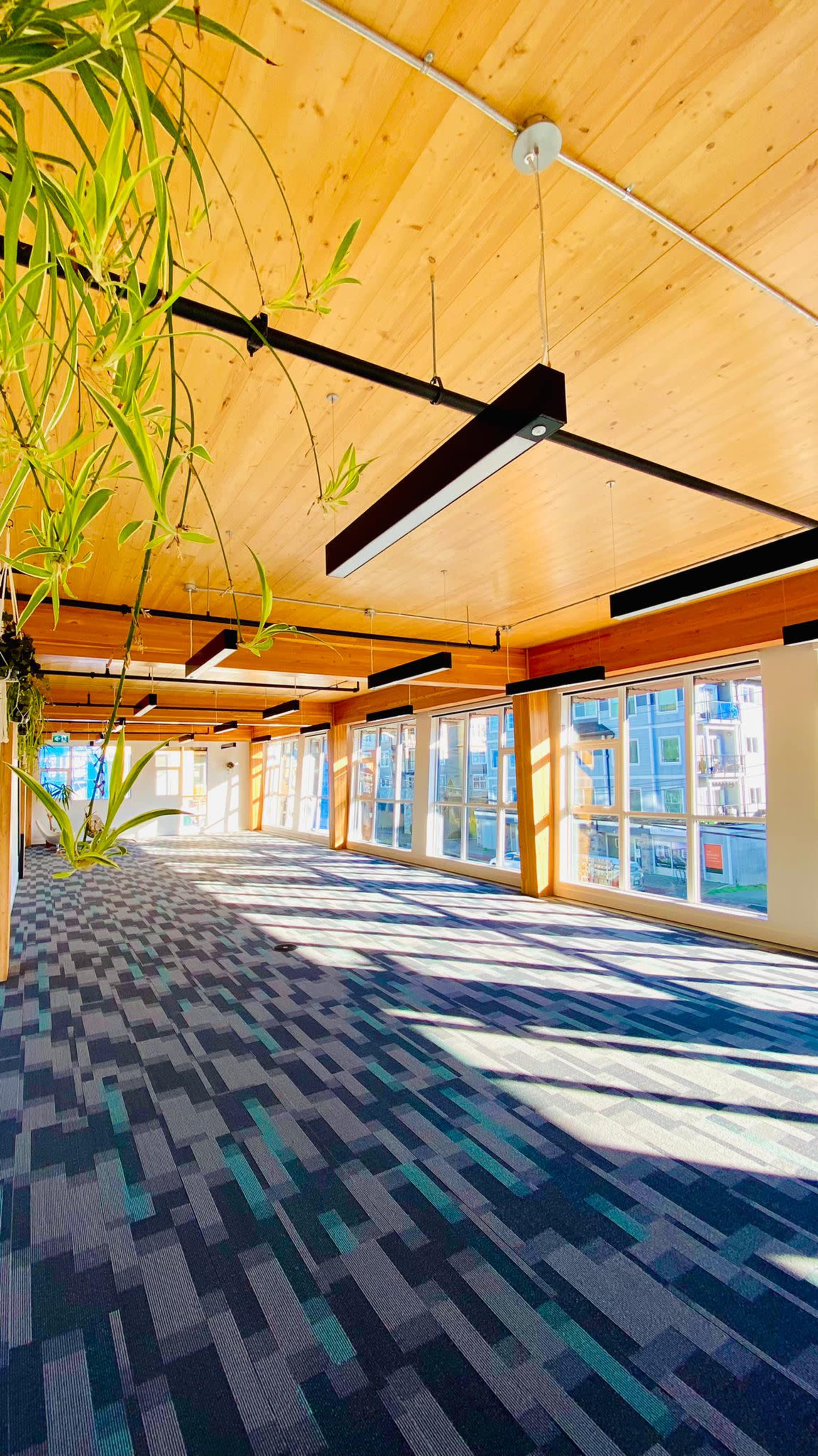 A spacious interior room with wooden ceilings, large windows, and a patterned carpet, illuminated by natural light.
