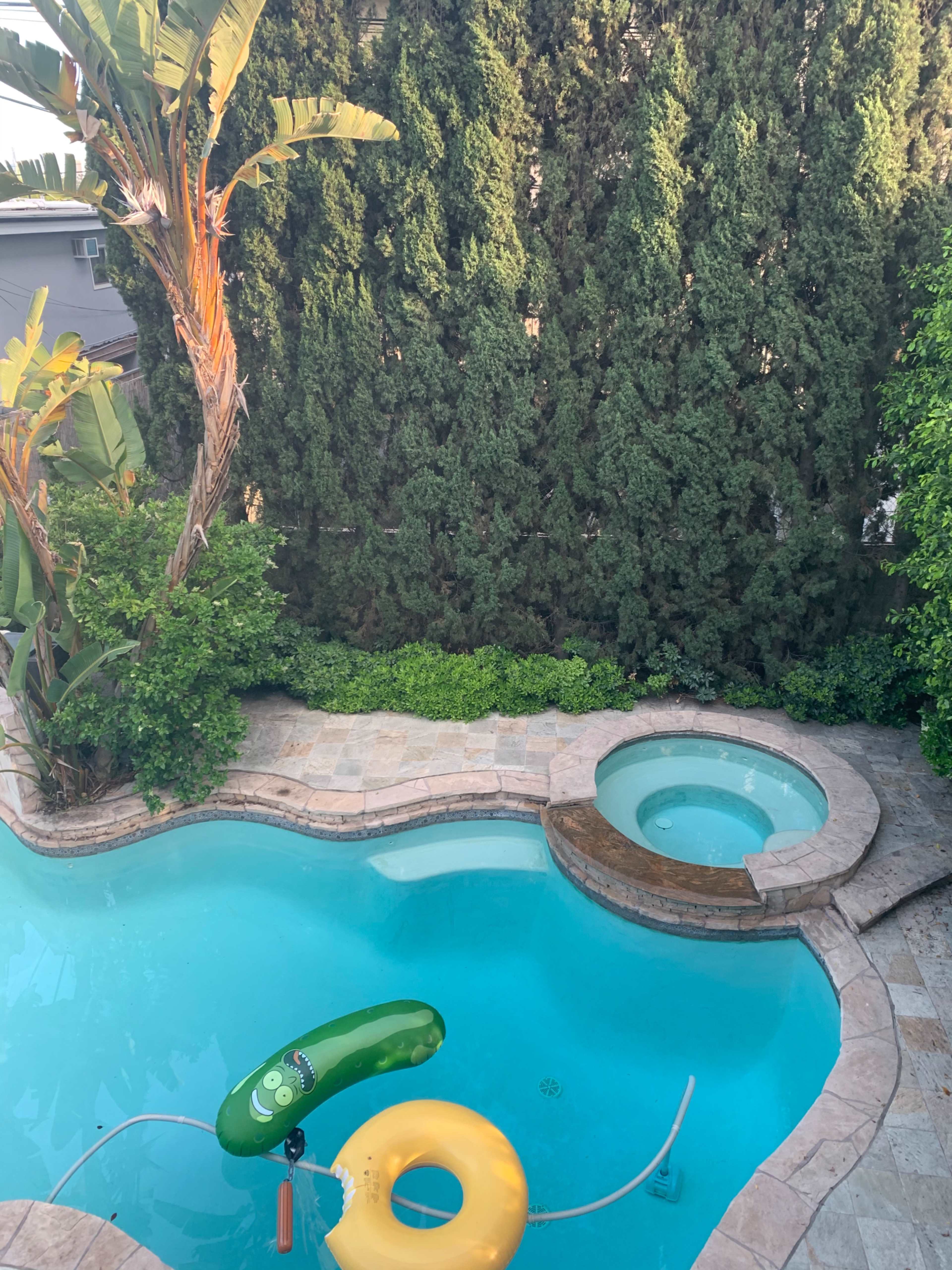 A swimming pool with a green inflatable lounge and a yellow inner tube, surrounded by lush greenery and a stone deck.