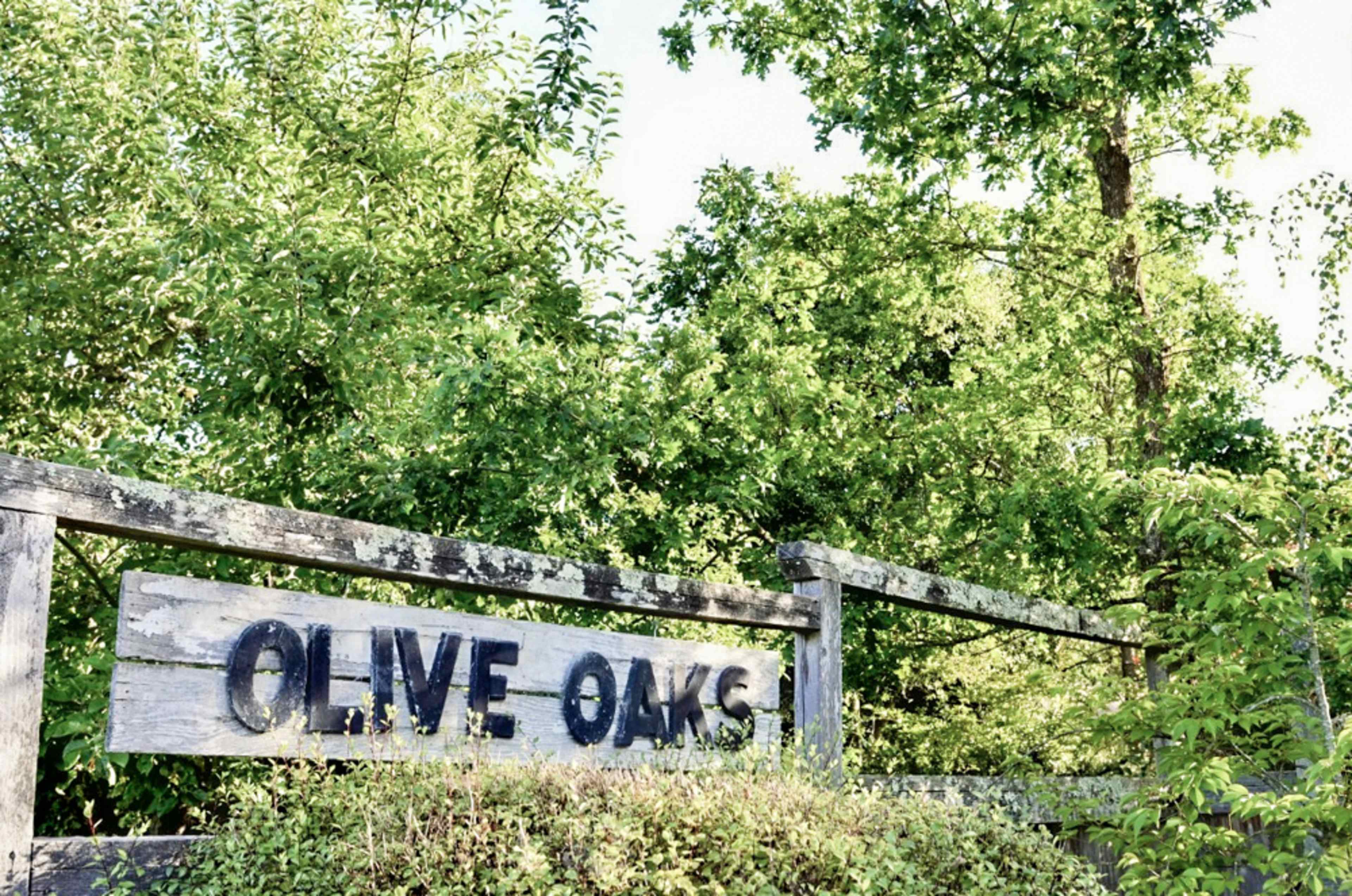 A weathered wooden sign reading "Olive Oaks" is surrounded by green foliage.